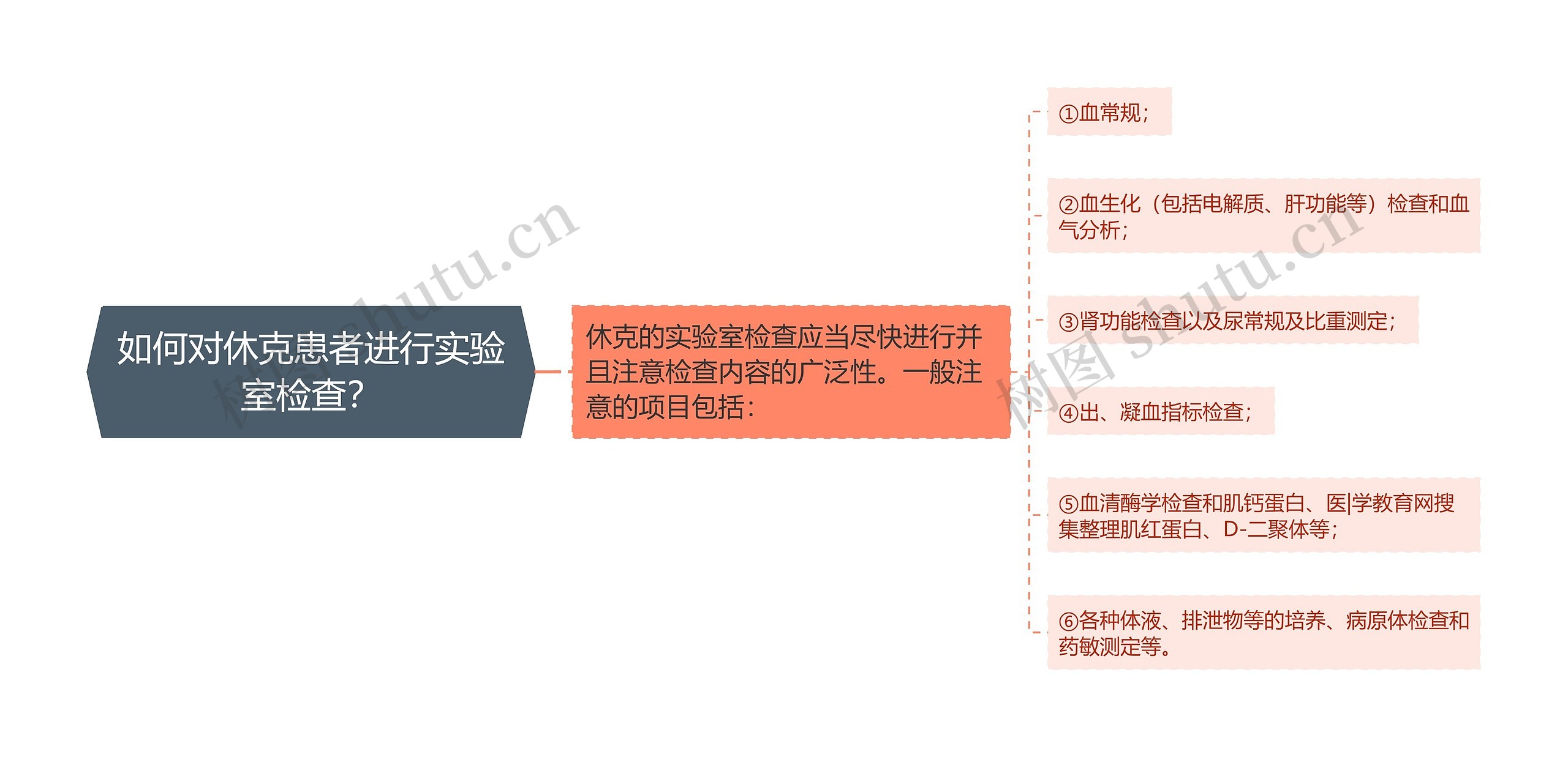 如何对休克患者进行实验室检查？思维导图