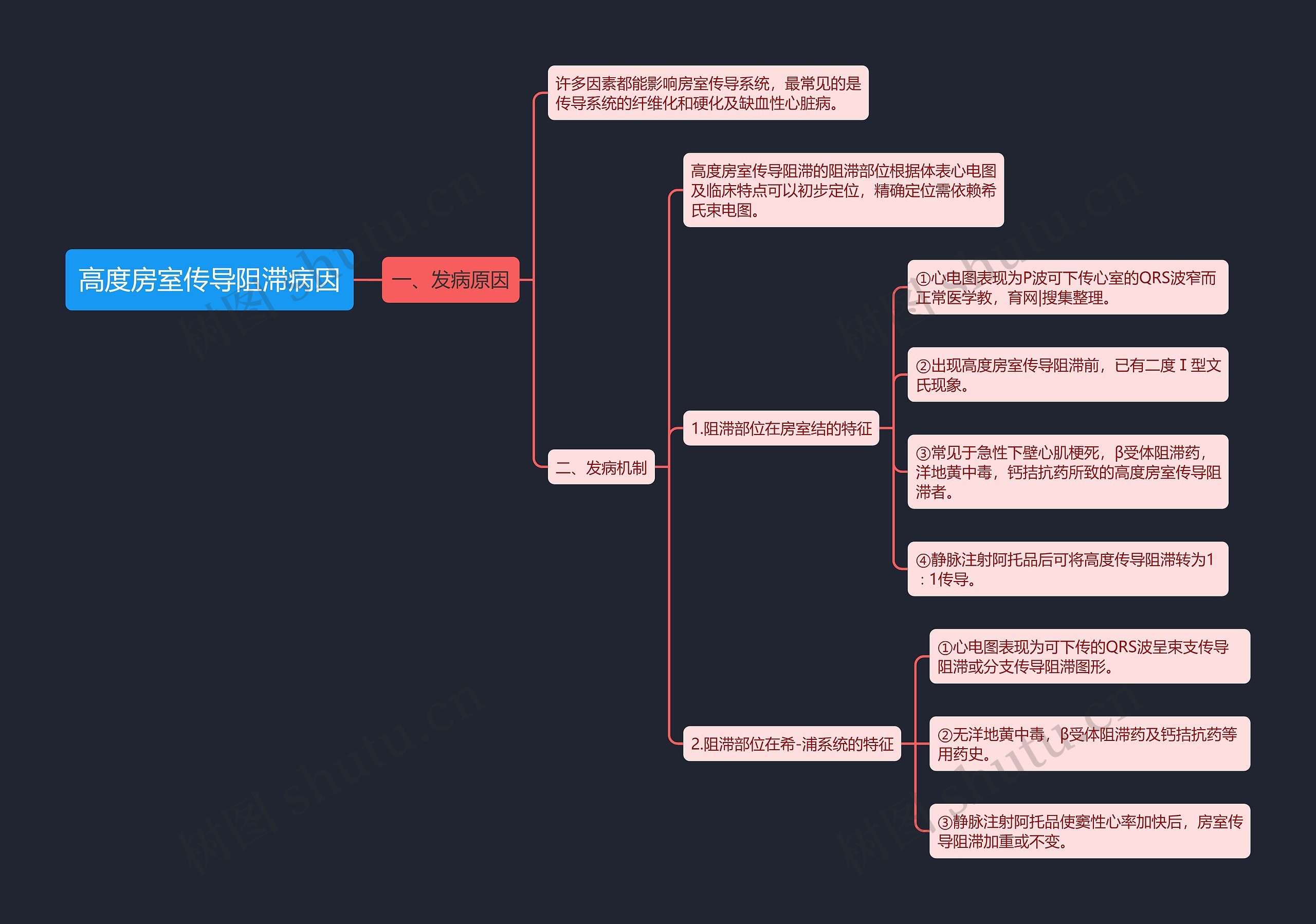 高度房室传导阻滞病因思维导图