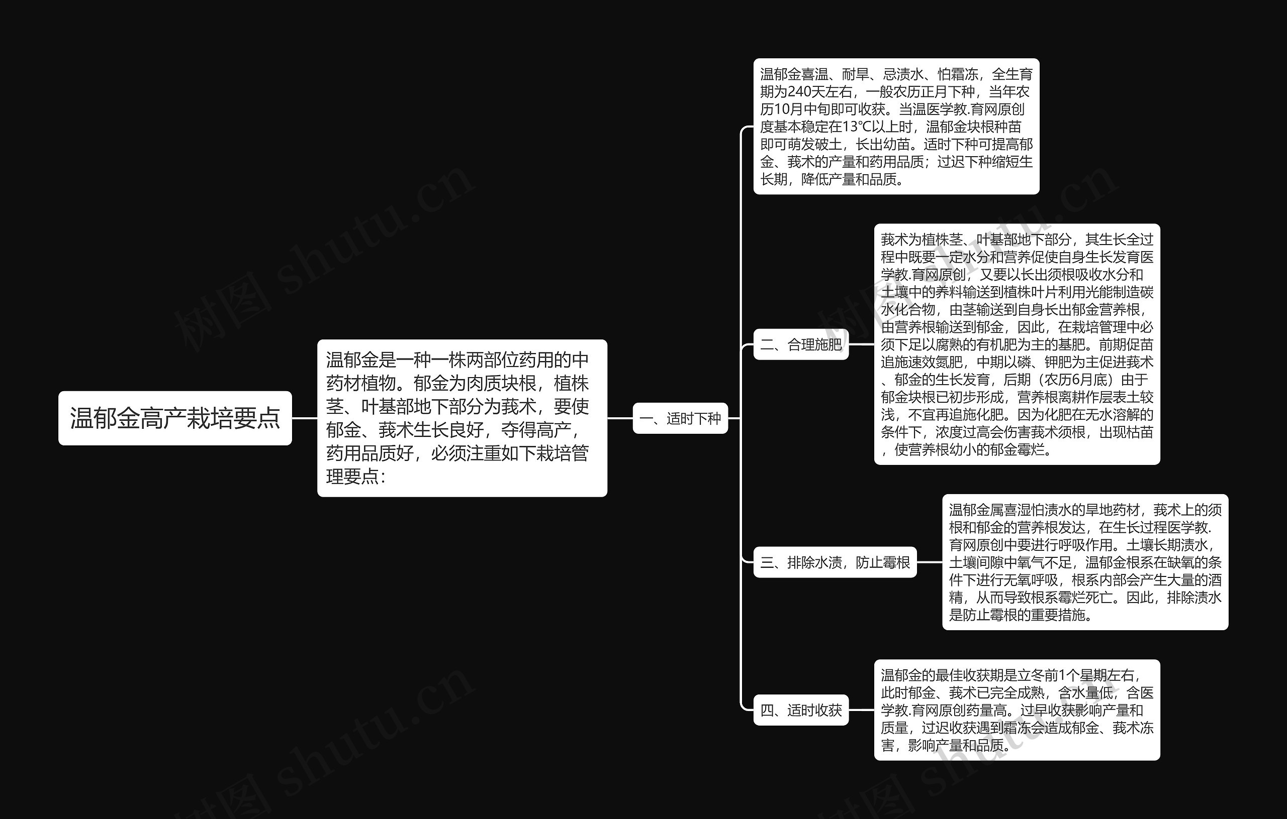 温郁金高产栽培要点