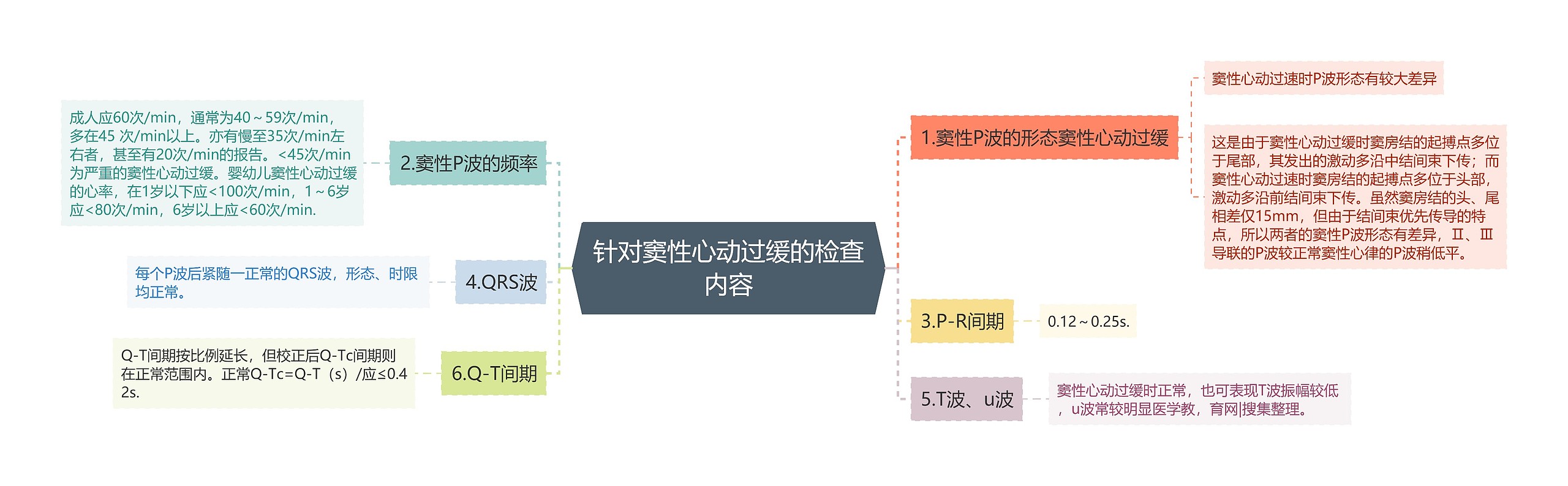 针对窦性心动过缓的检查内容思维导图