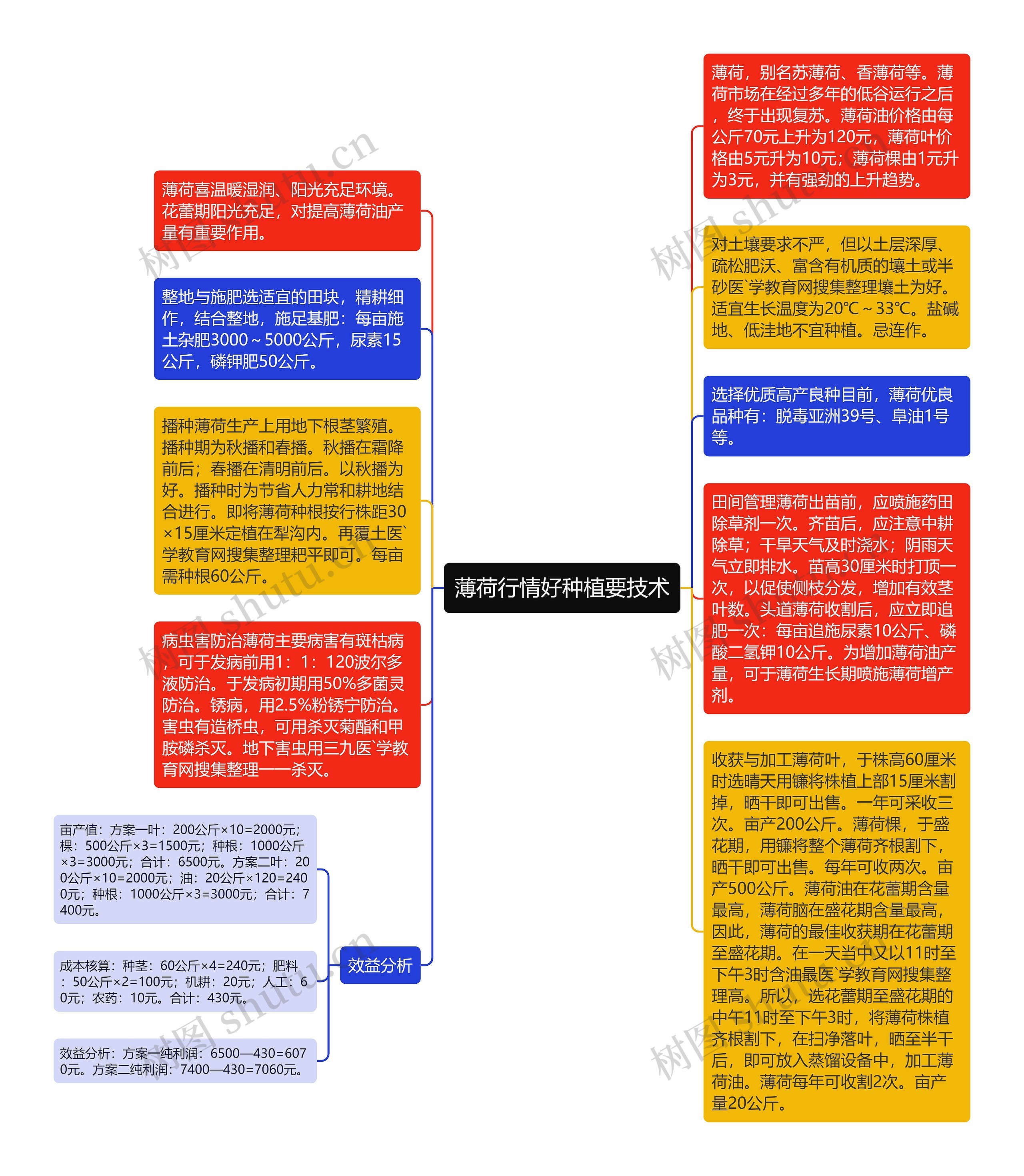 薄荷行情好种植要技术思维导图