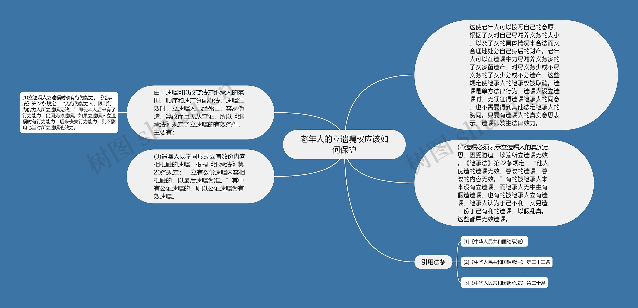 老年人的立遗嘱权应该如何保护思维导图