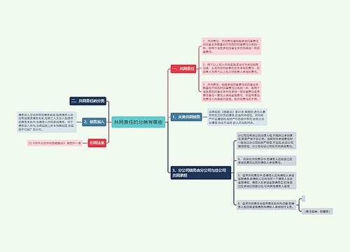 共同责任的分类有哪些