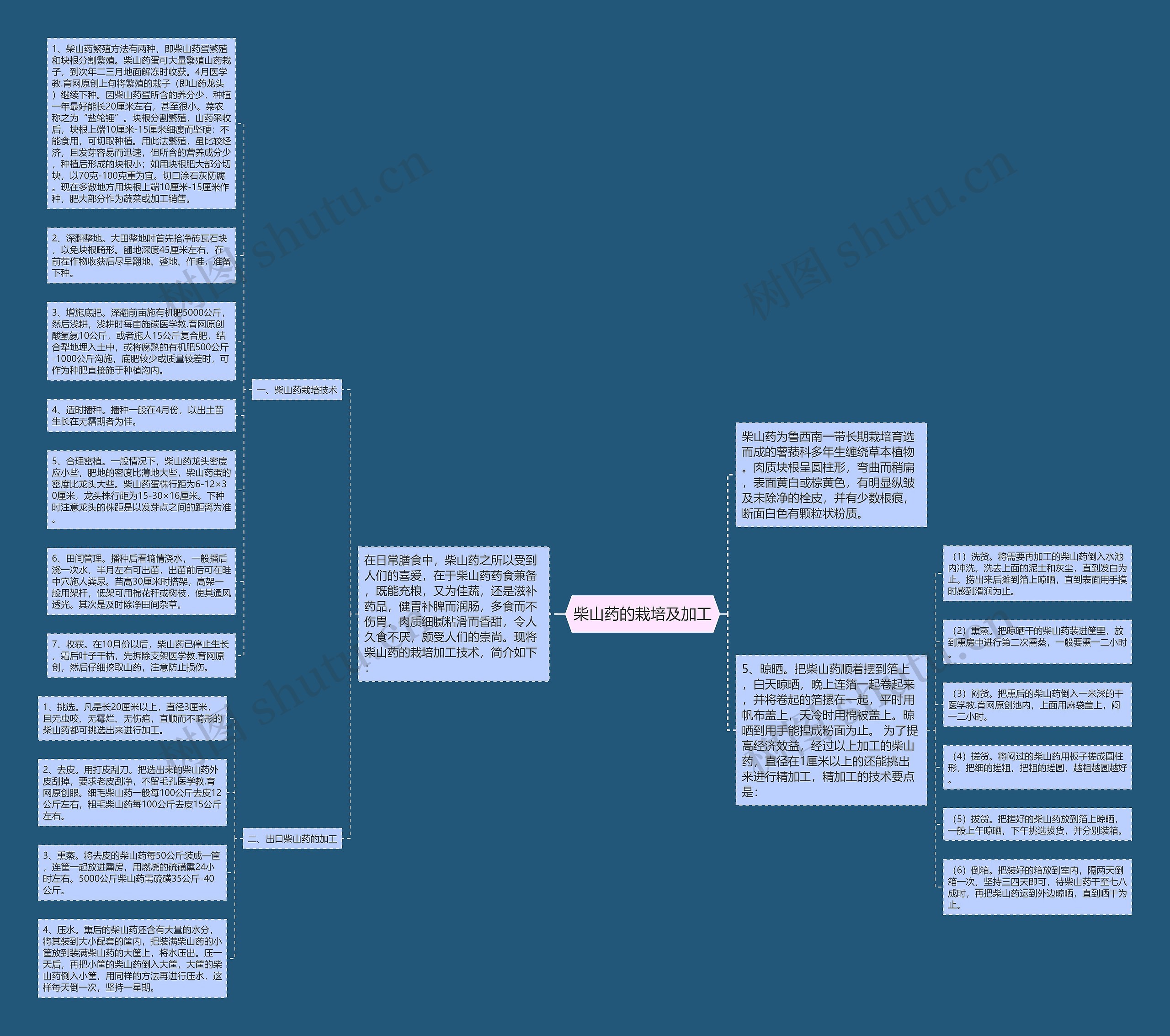 柴山药的栽培及加工思维导图高清图 柴山药的栽培及加工思维导图