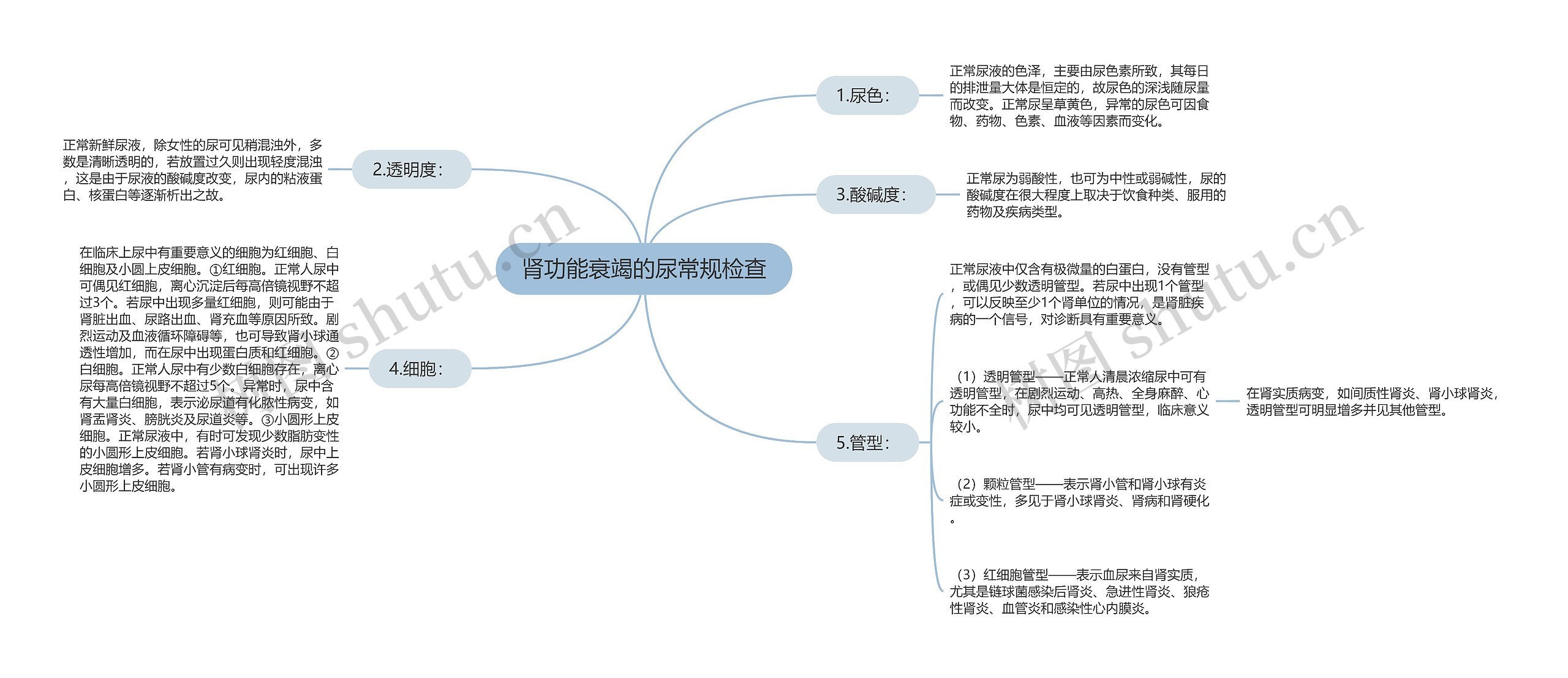 肾功能衰竭的尿常规检查思维导图