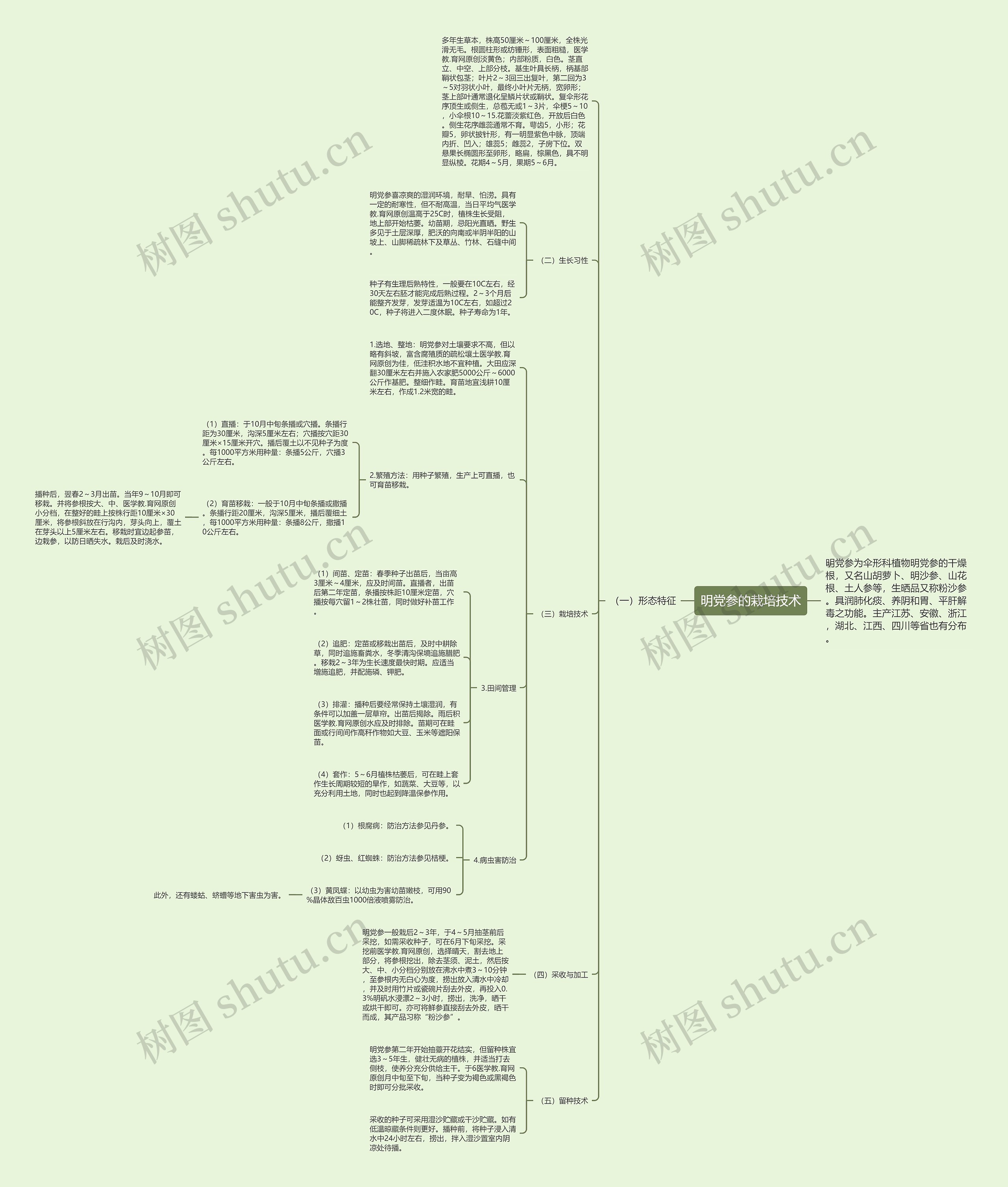 明党参的栽培技术 明党参的栽培技术