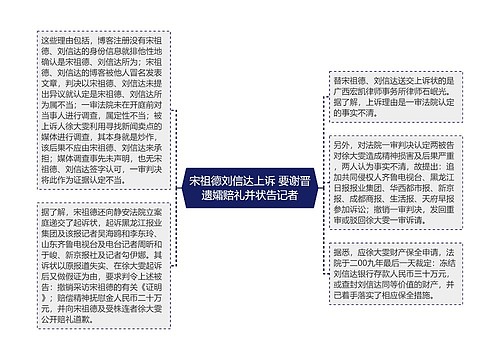 宋祖德刘信达上诉 要谢晋遗孀赔礼并状告记者