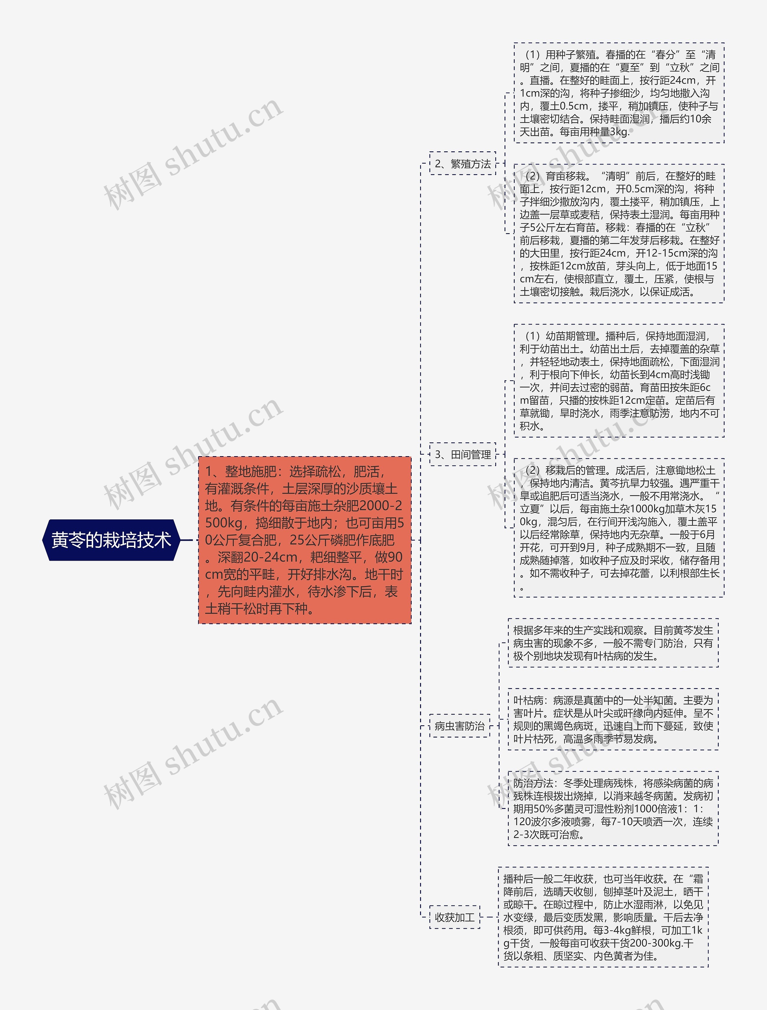 黄苓的栽培技术思维导图