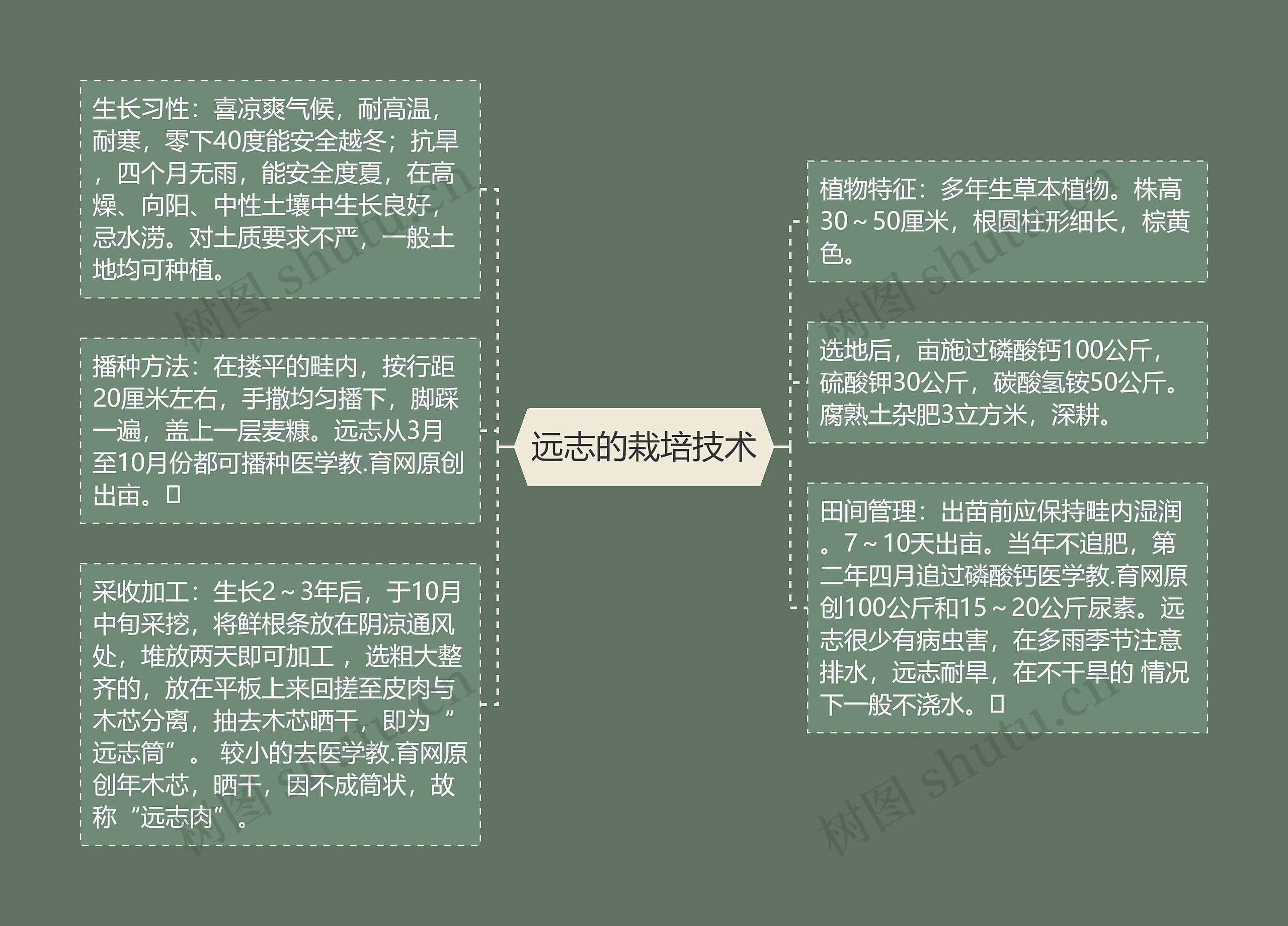 远志的栽培技术思维导图