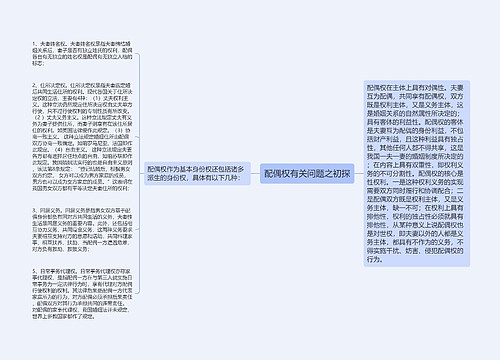 配偶权有关问题之初探