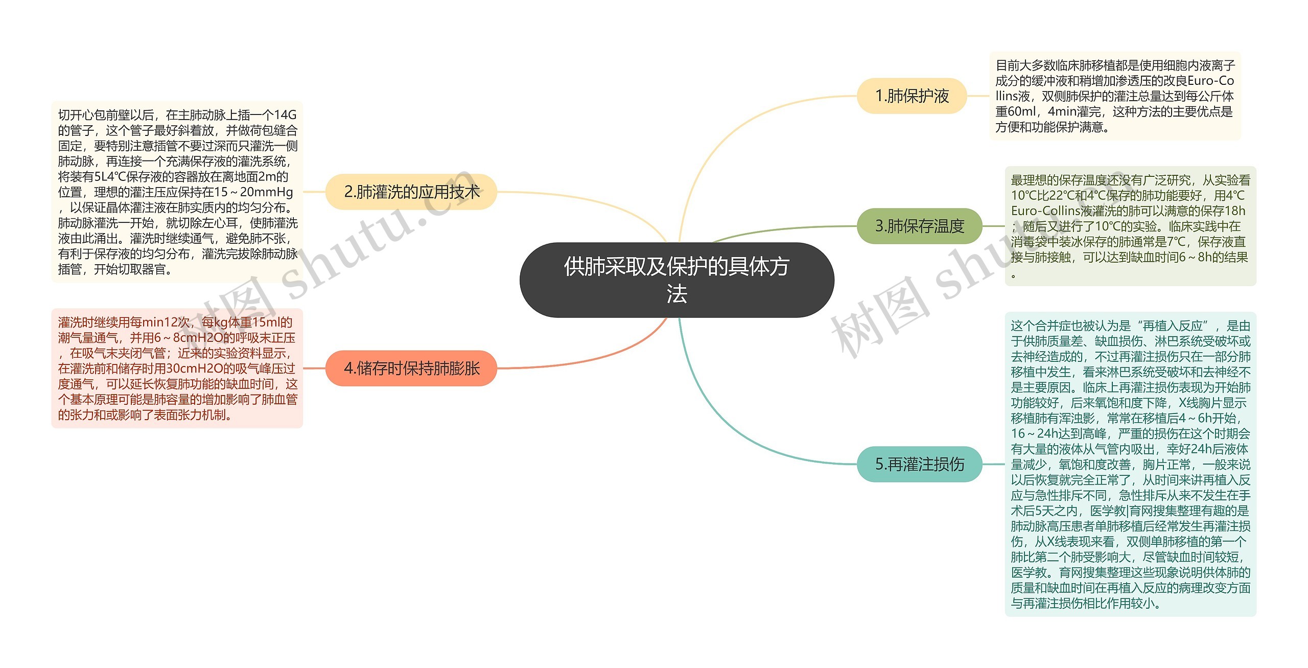 供肺采取及保护的具体方法思维导图