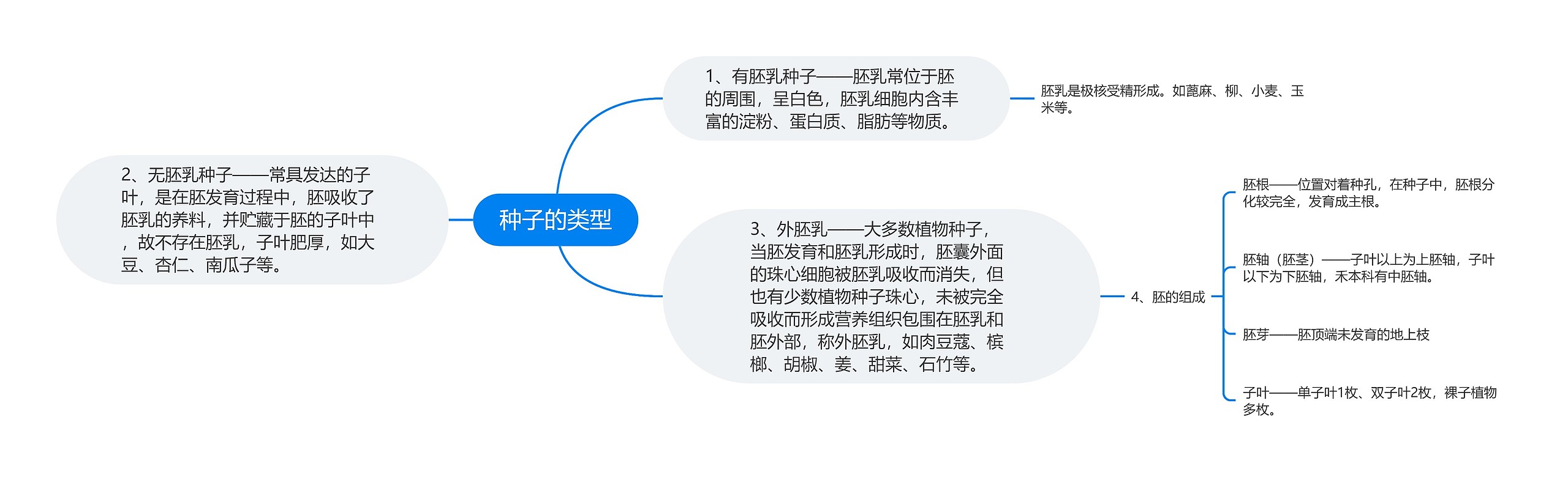 种子的类型思维导图