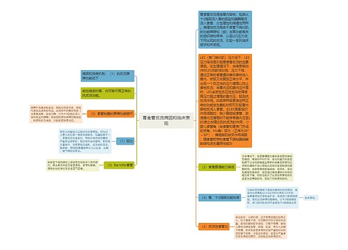 胃食管反流病因和临床表现