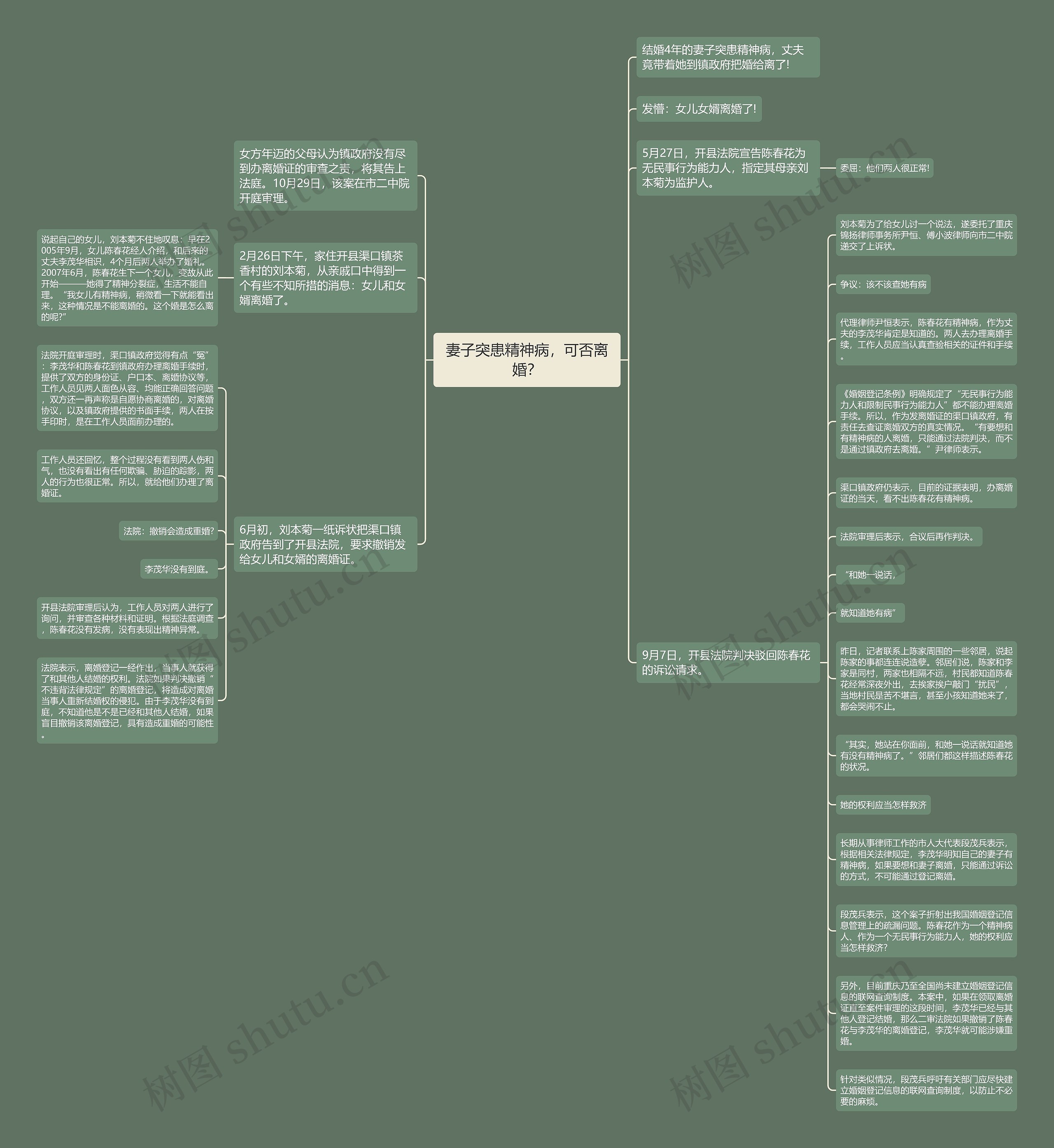 妻子突患精神病，可否离婚？思维导图