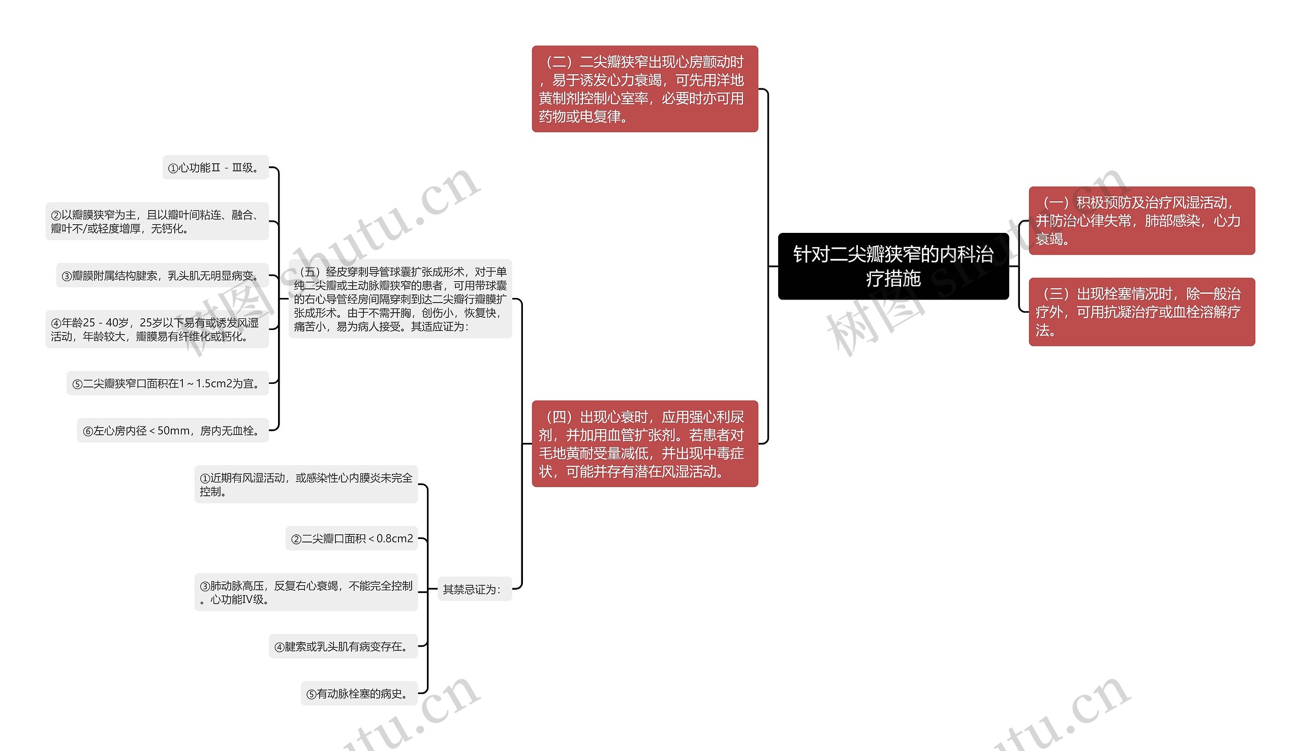 针对二尖瓣狭窄的内科治疗措施思维导图