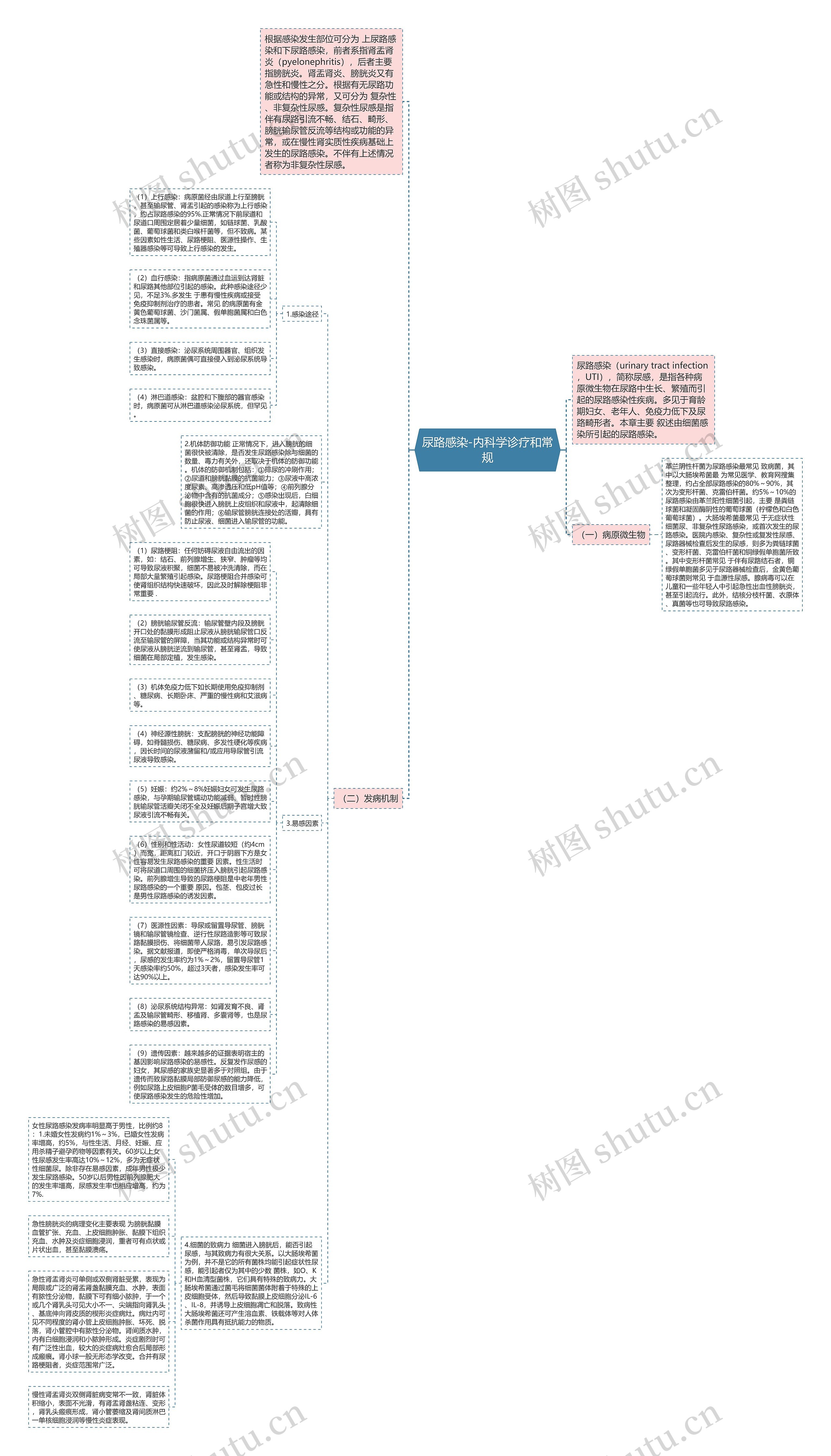 尿路感染-内科学诊疗和常规思维导图