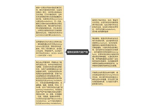 植物的新陈代谢产物思维导图