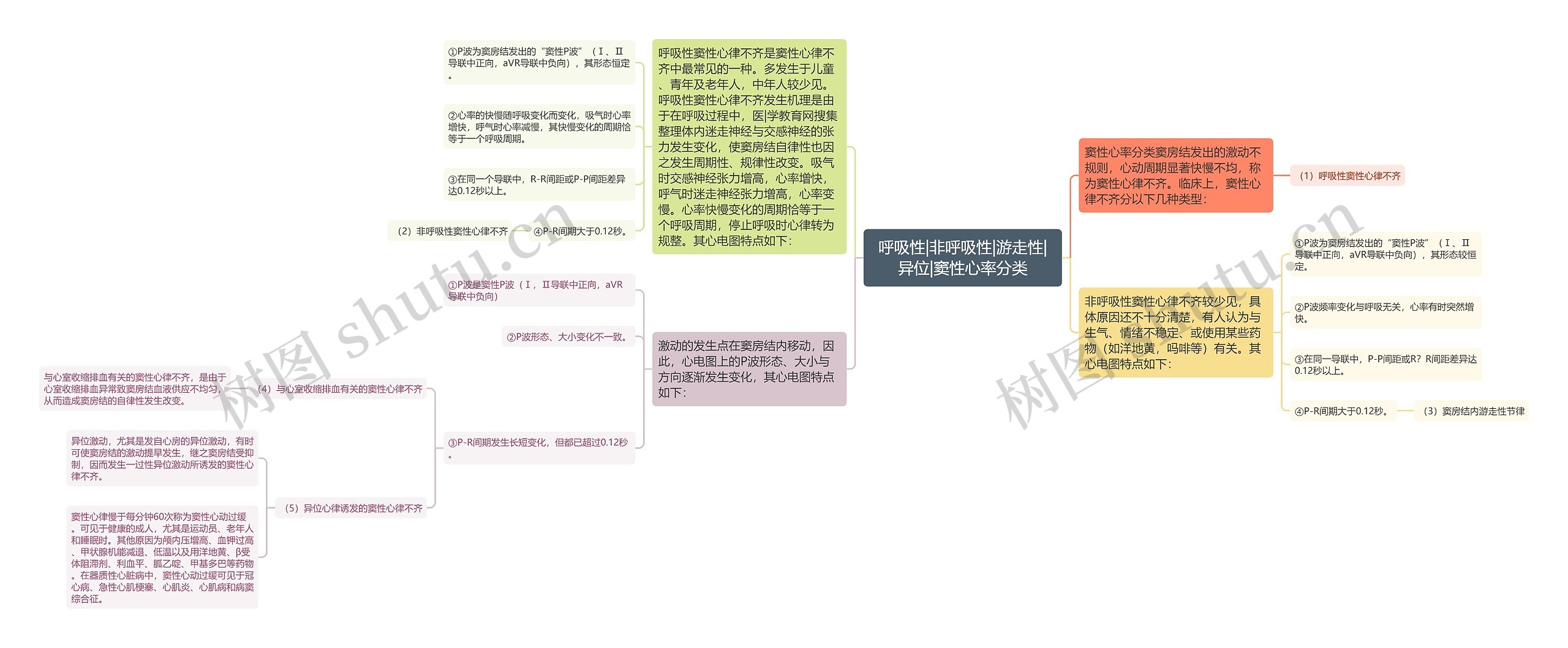 呼吸性|非呼吸性|游走性|异位|窦性心率分类 呼吸性|非呼吸性|游走性|异位|窦性心率分类