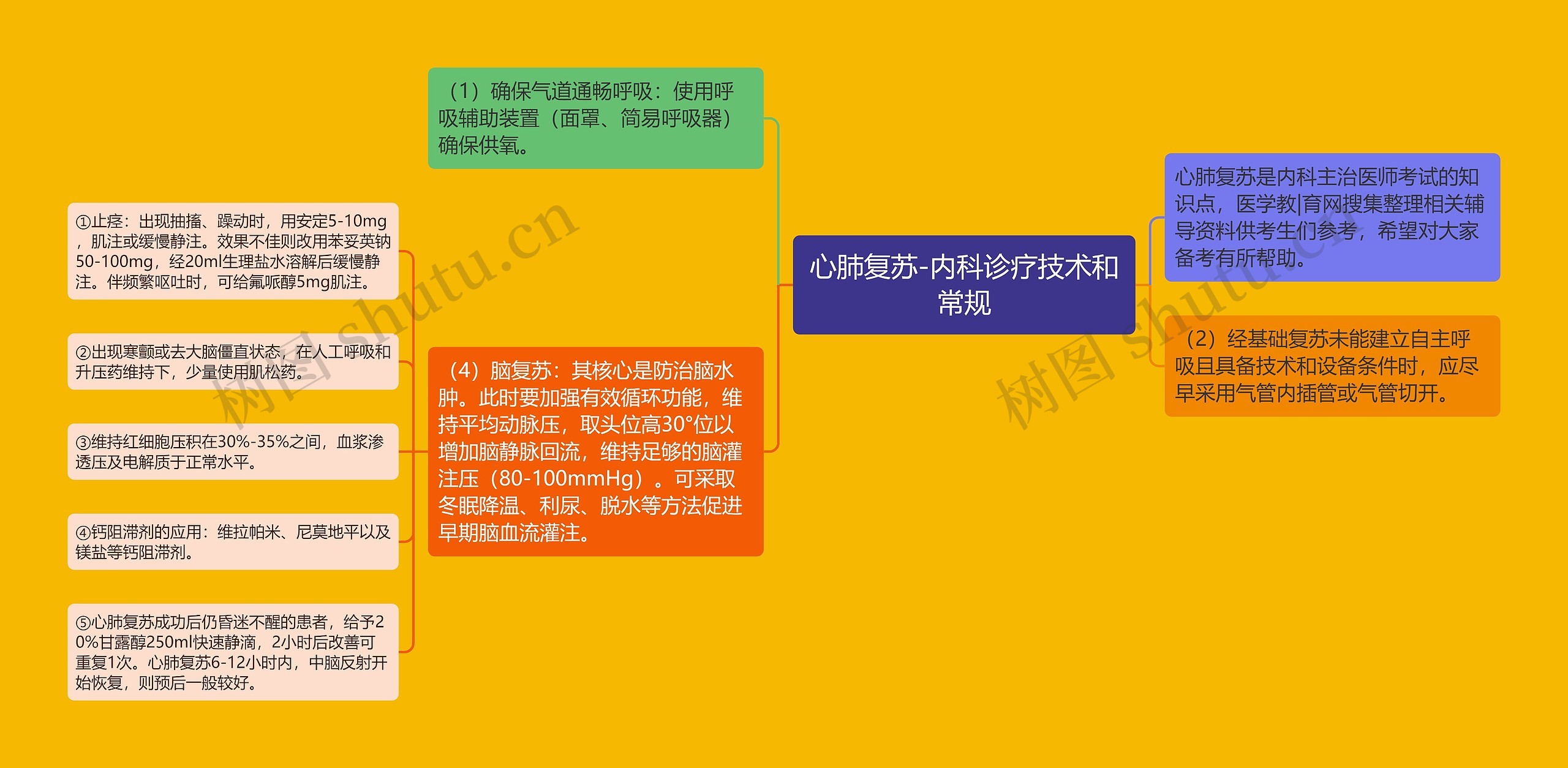 心肺复苏-内科诊疗技术和常规