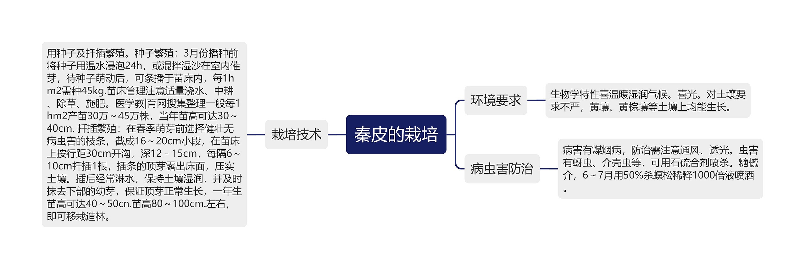 秦皮的栽培思维导图