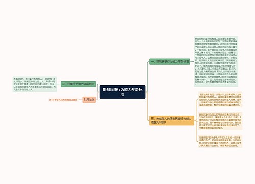 限制民事行为能力年龄标准