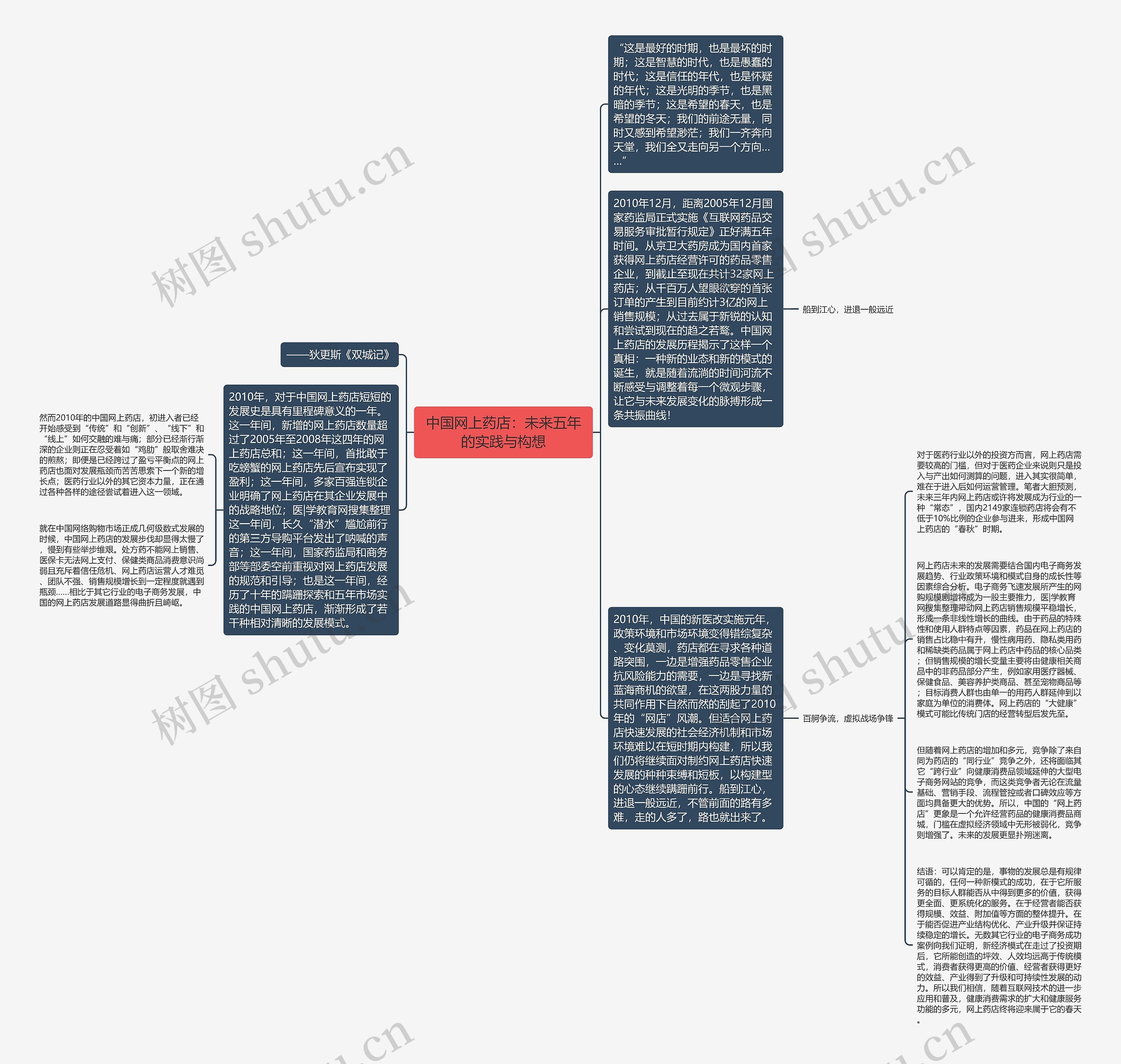 中国网上药店：未来五年的实践与构想思维导图