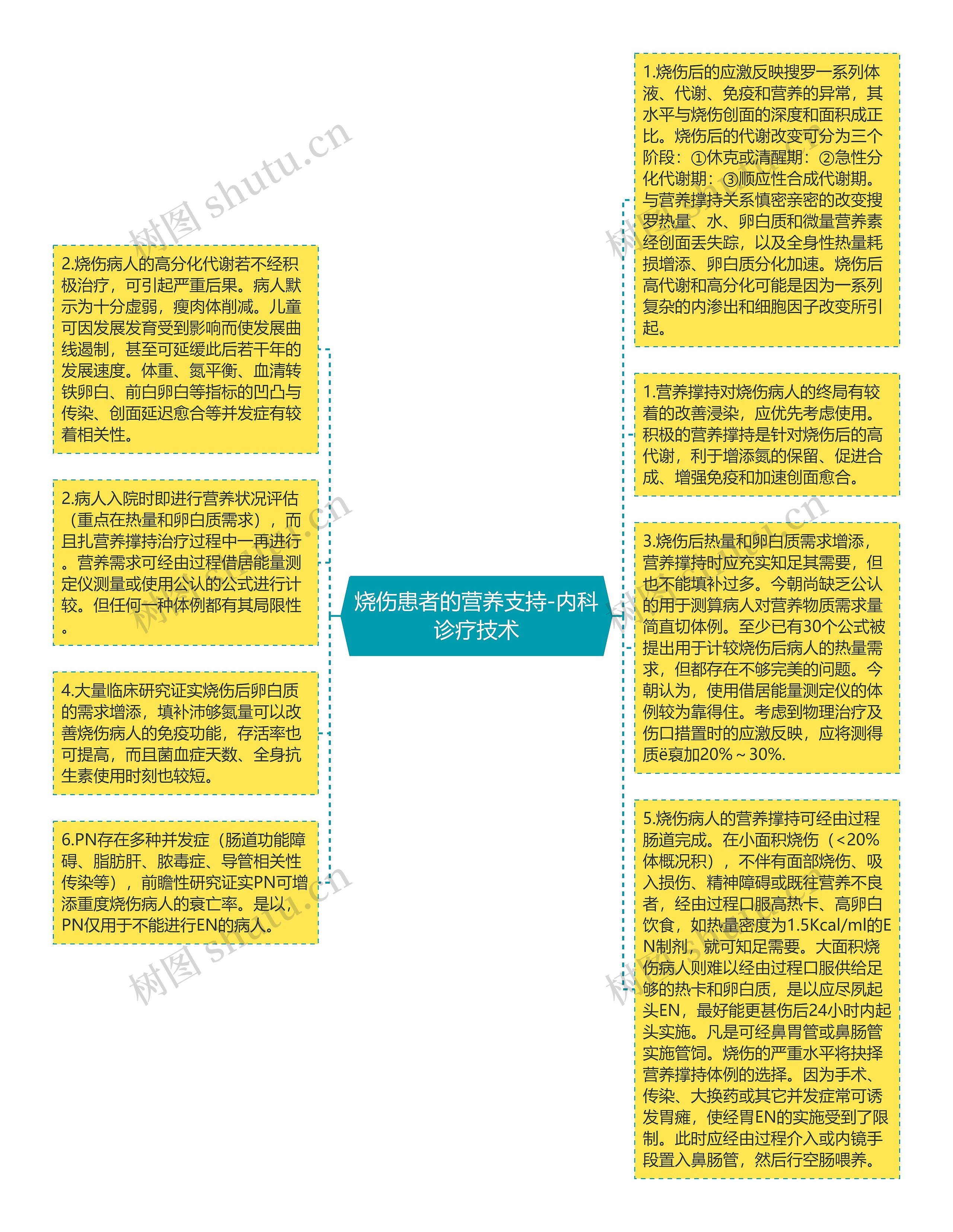 烧伤患者的营养支持-内科诊疗技术