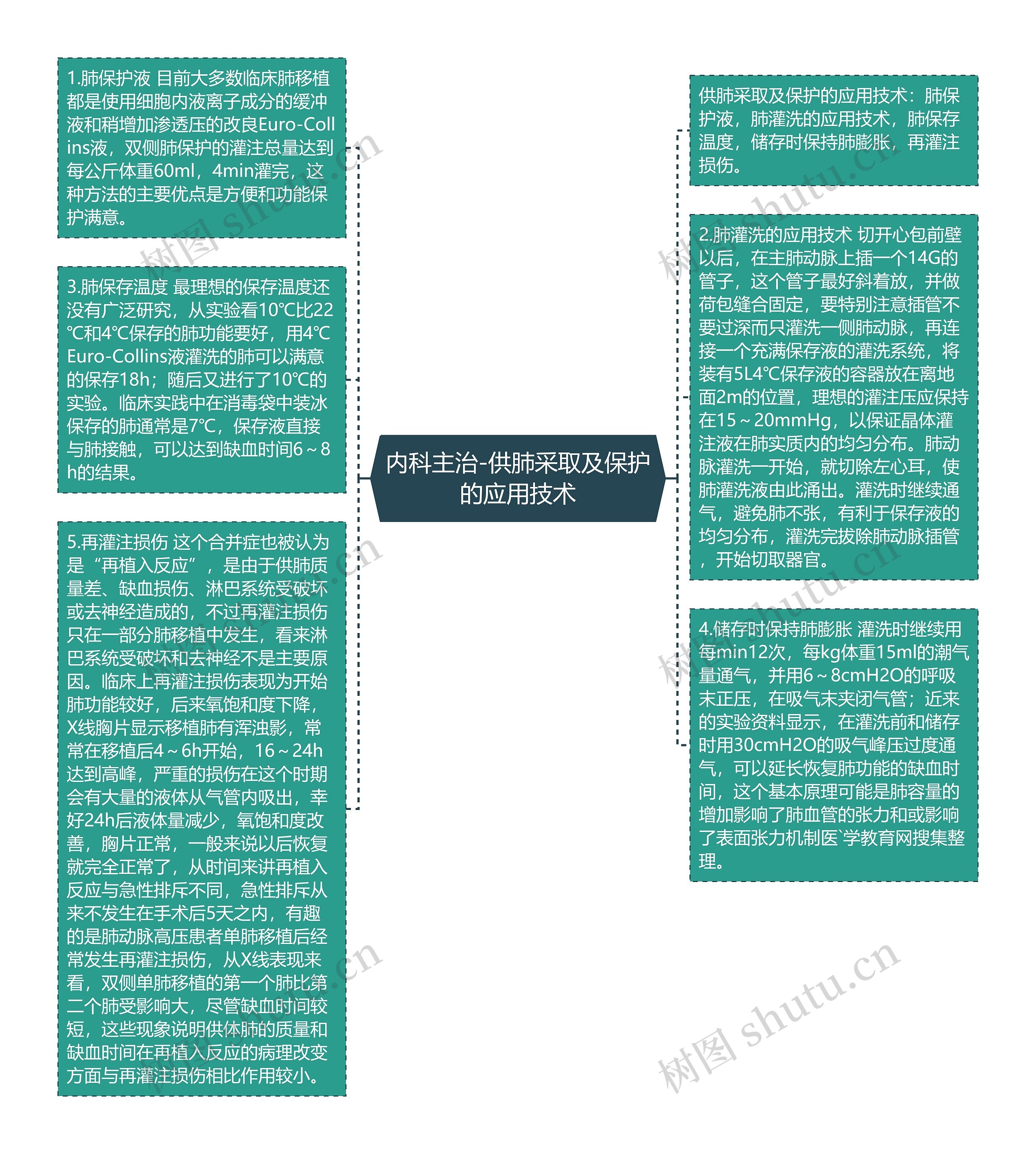 内科主治-供肺采取及保护的应用技术思维导图