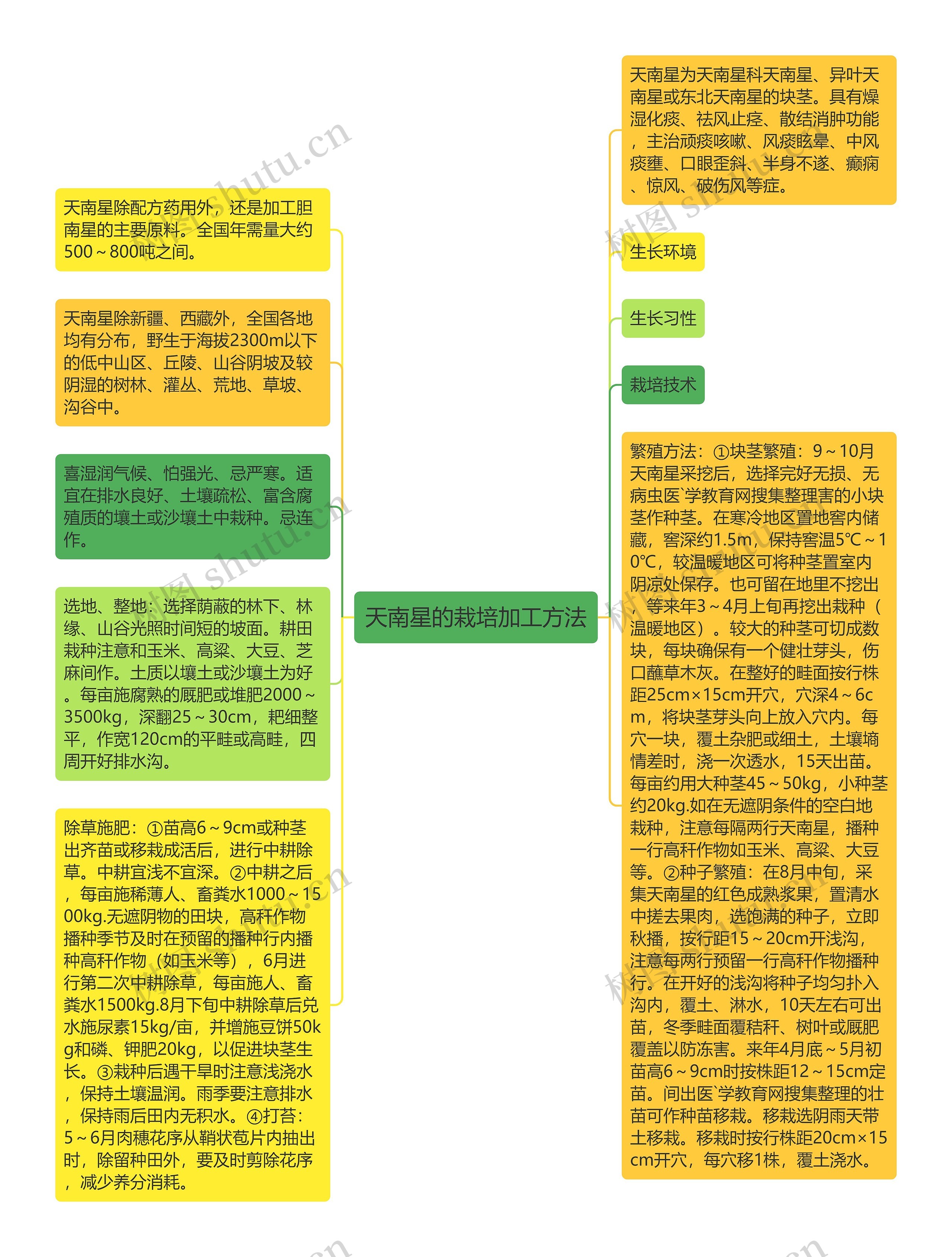 天南星的栽培加工方法