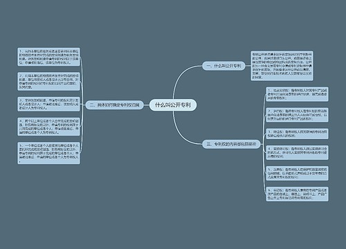 什么叫公开专利