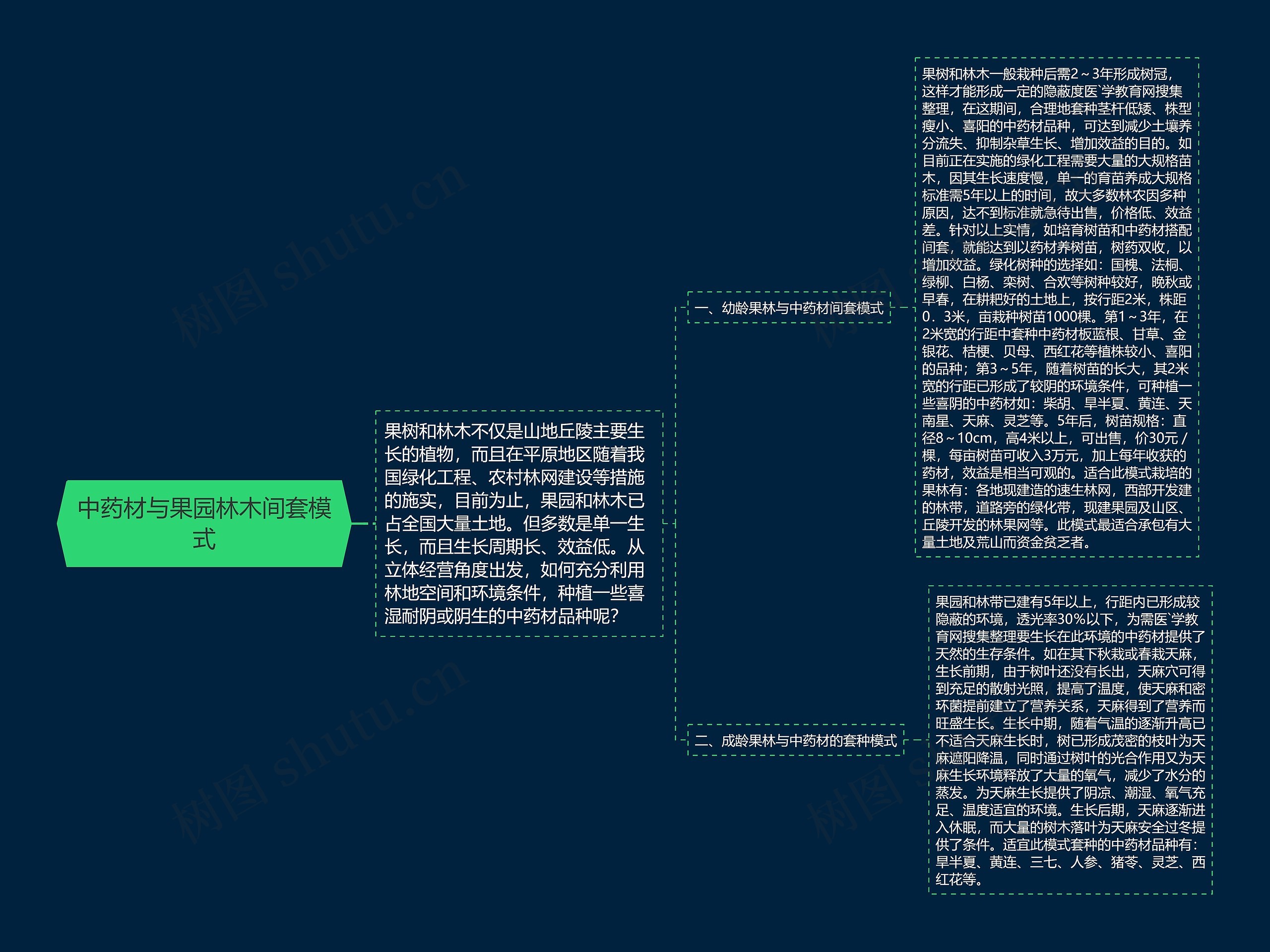 中药材与果园林木间套模式