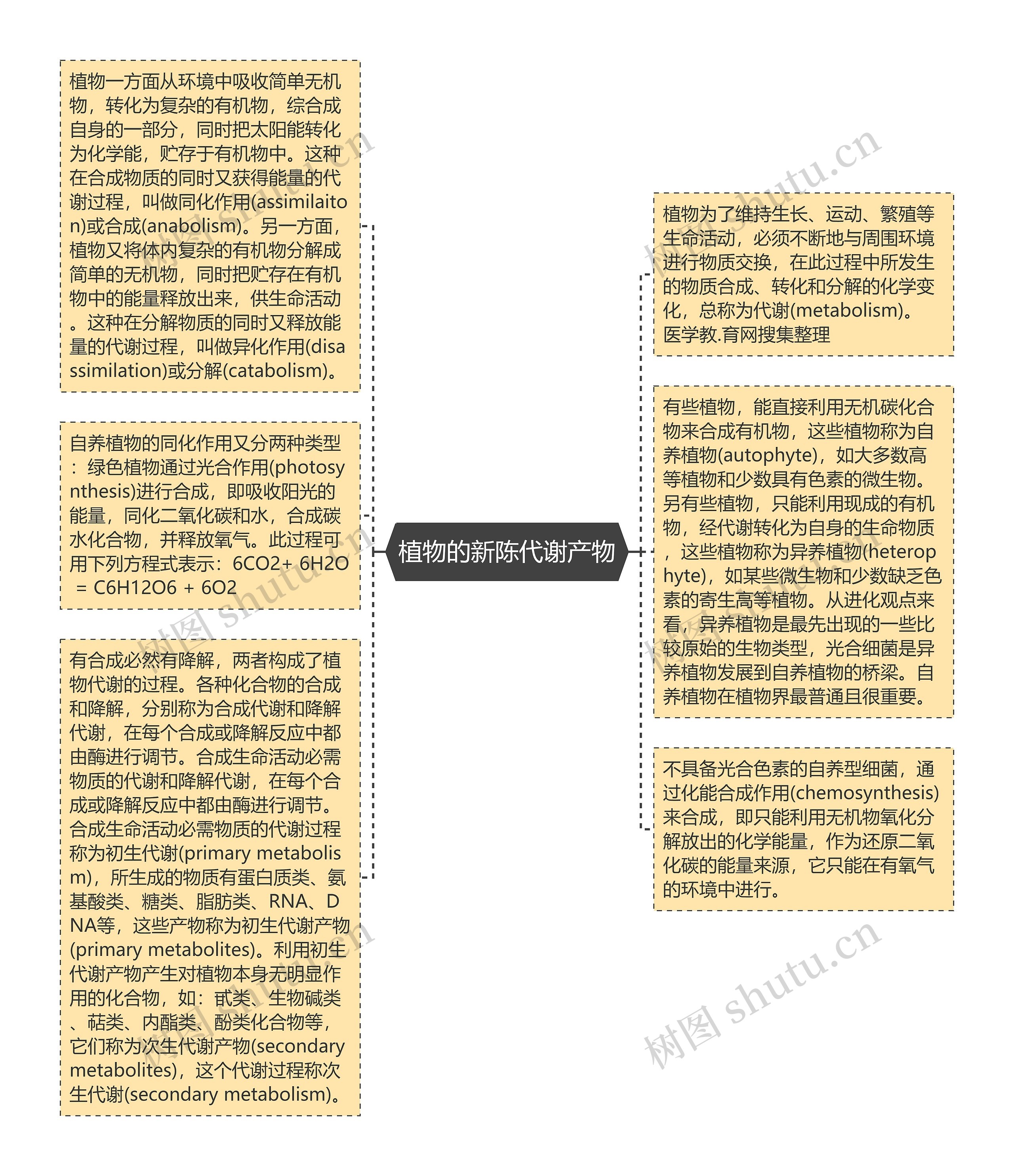 植物的新陈代谢产物思维导图