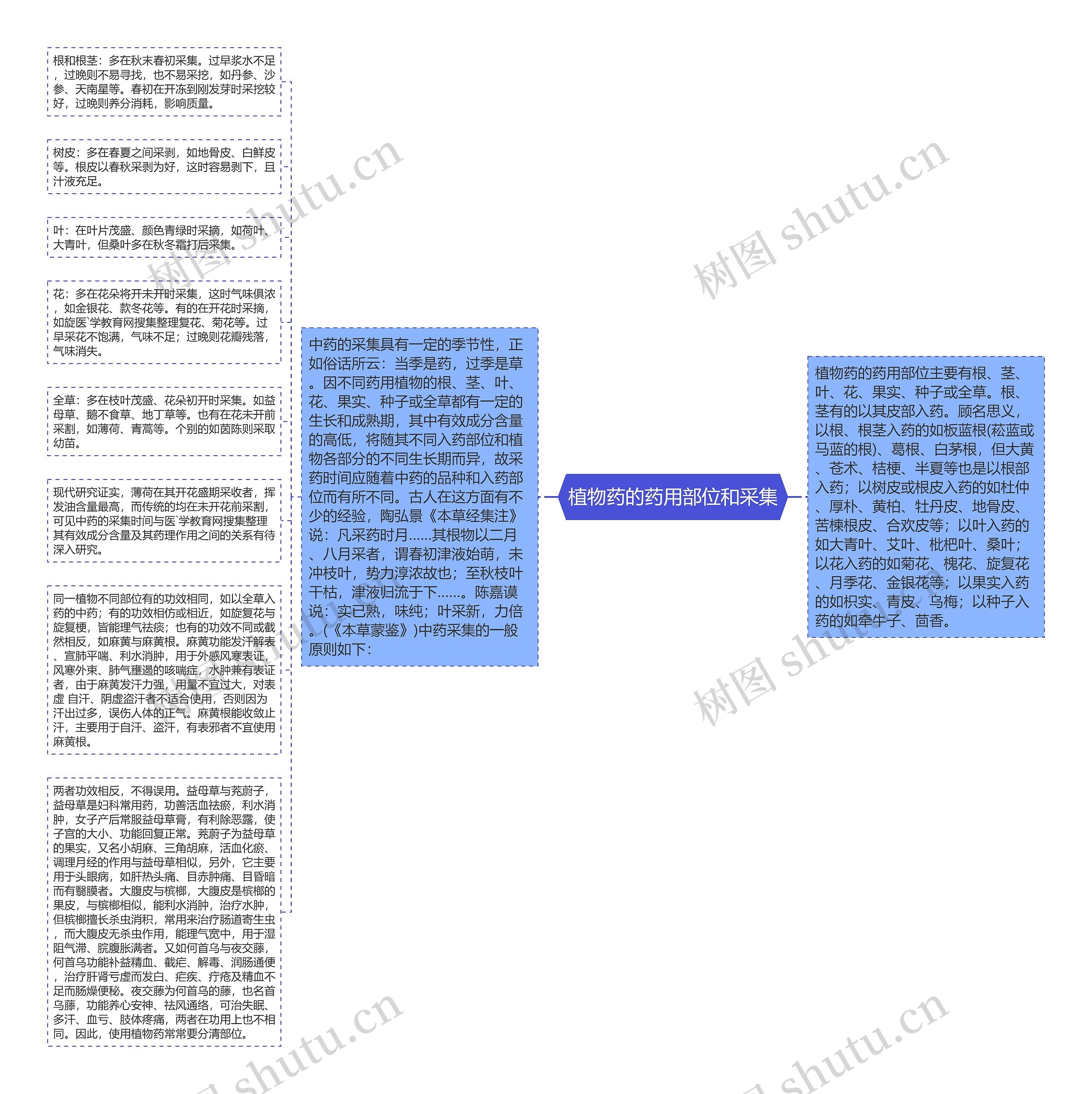 植物药的药用部位和采集思维导图