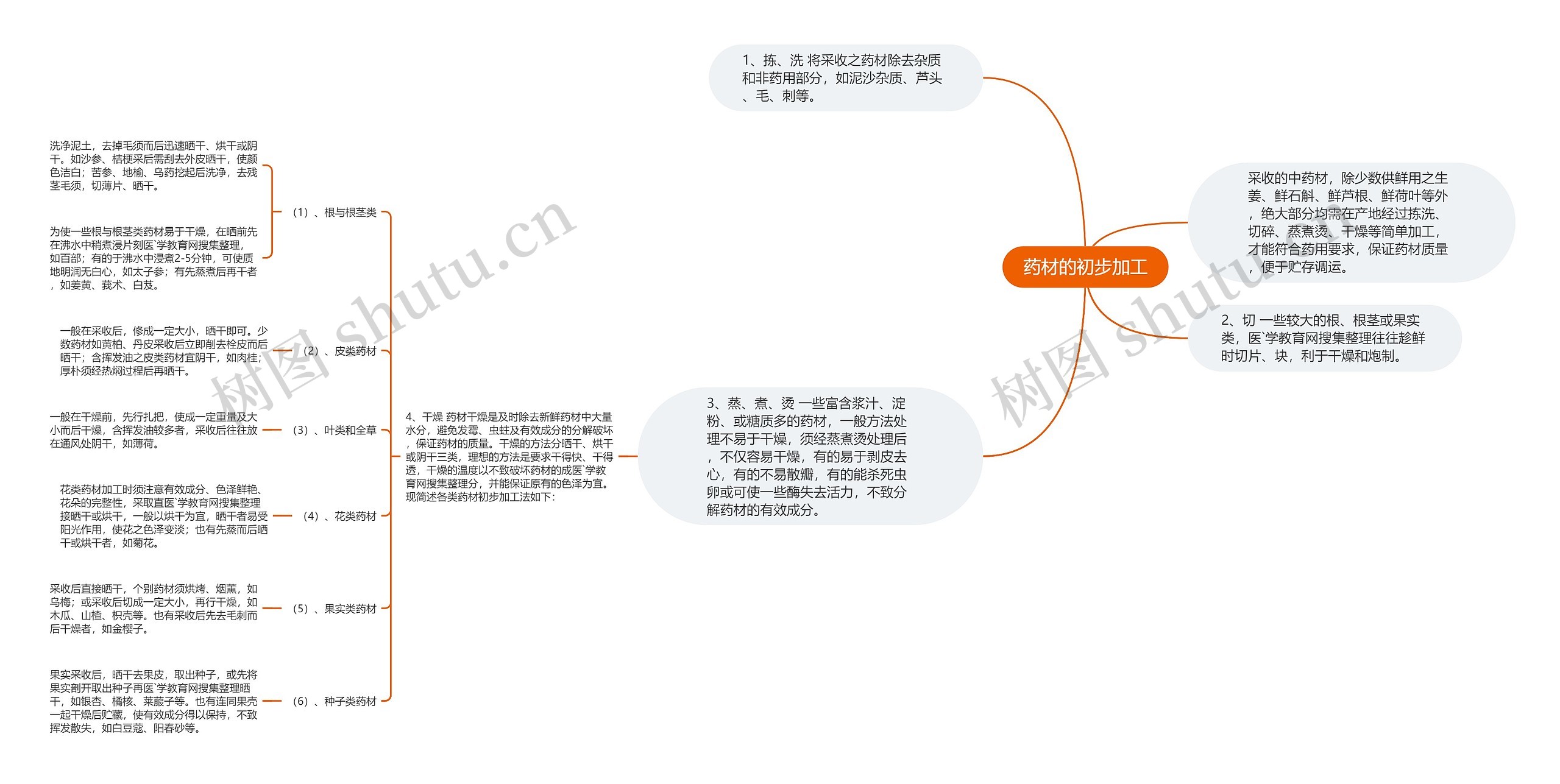 药材的初步加工思维导图