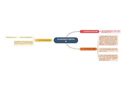 自主研发知识产权指专利吗