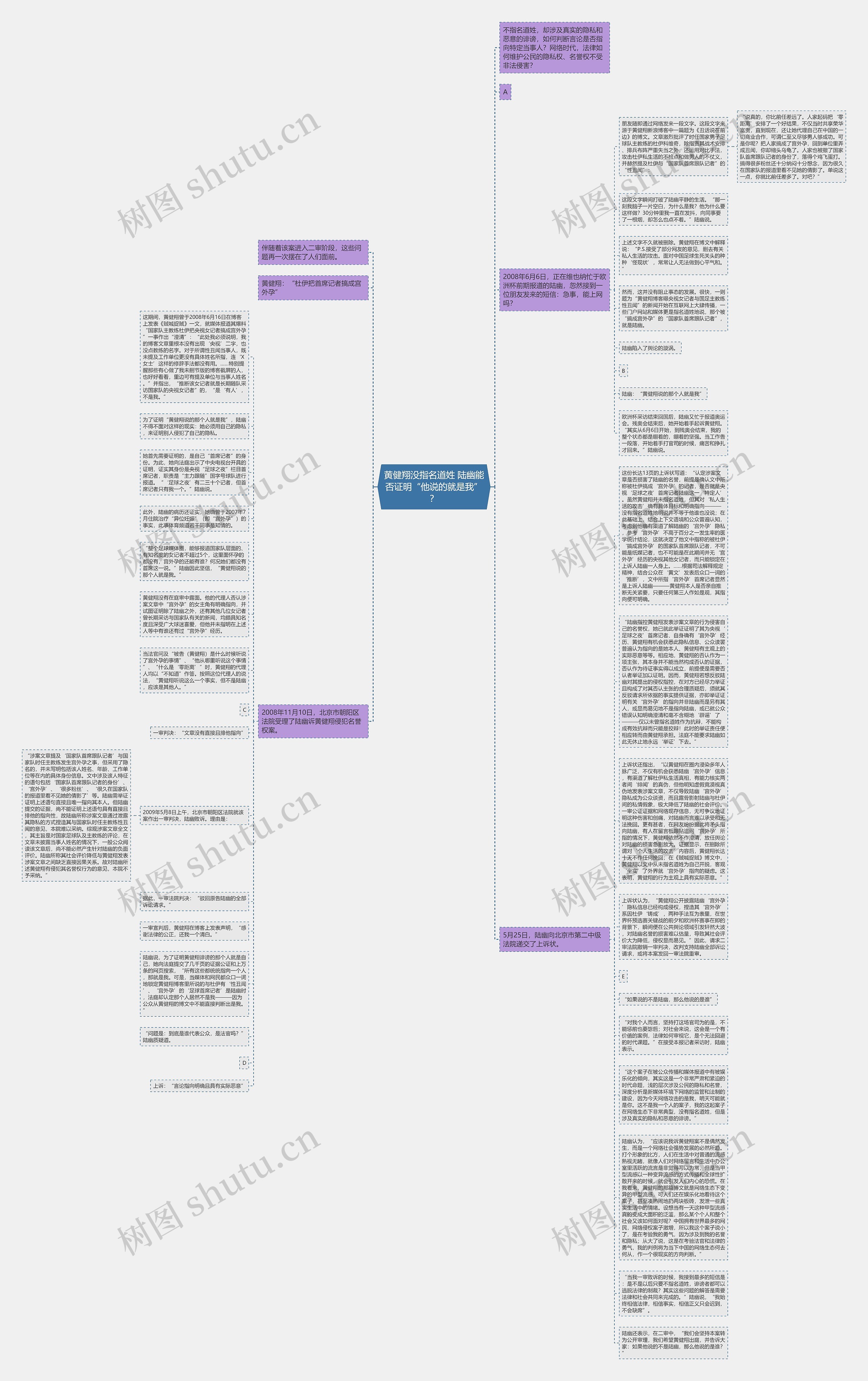 黄健翔没指名道姓 陆幽能否证明“他说的就是我”？思维导图