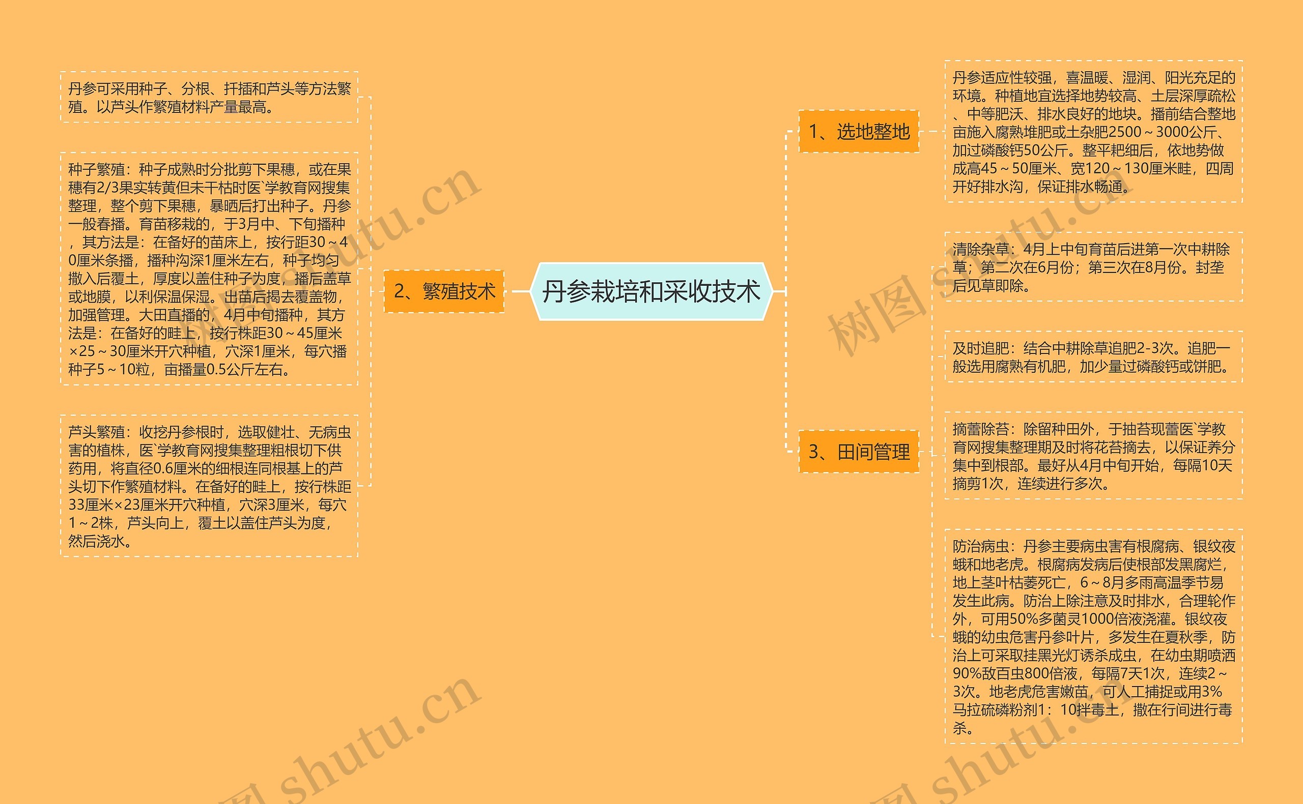 丹参栽培和采收技术思维导图