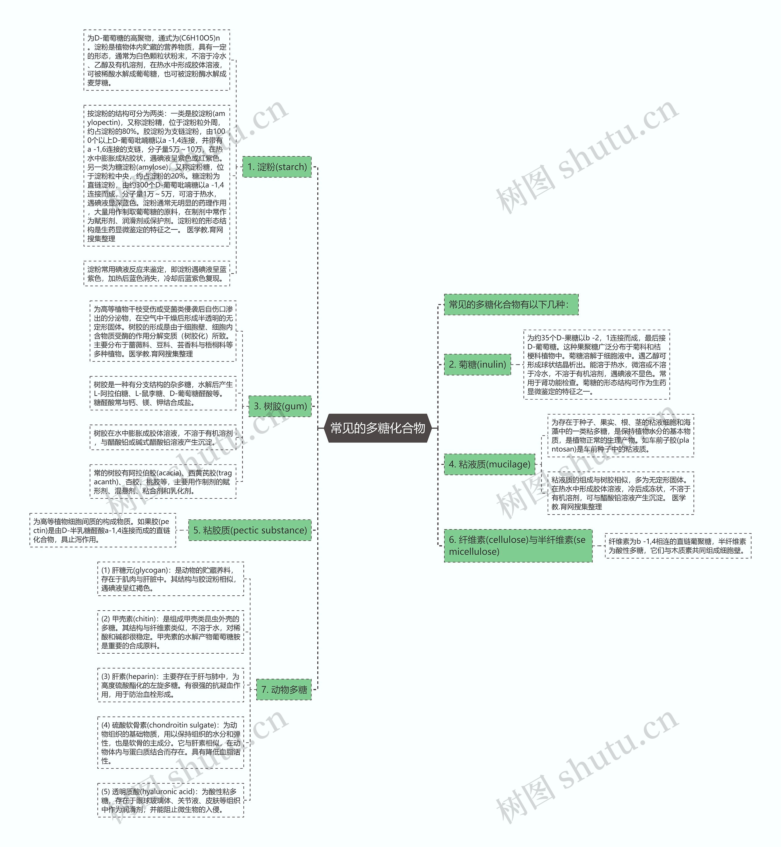 常见的多糖化合物思维导图