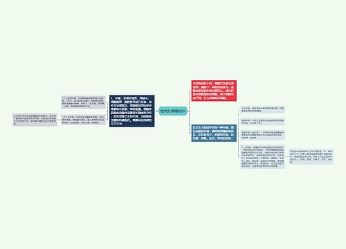 植物的厚壁组织思维导图