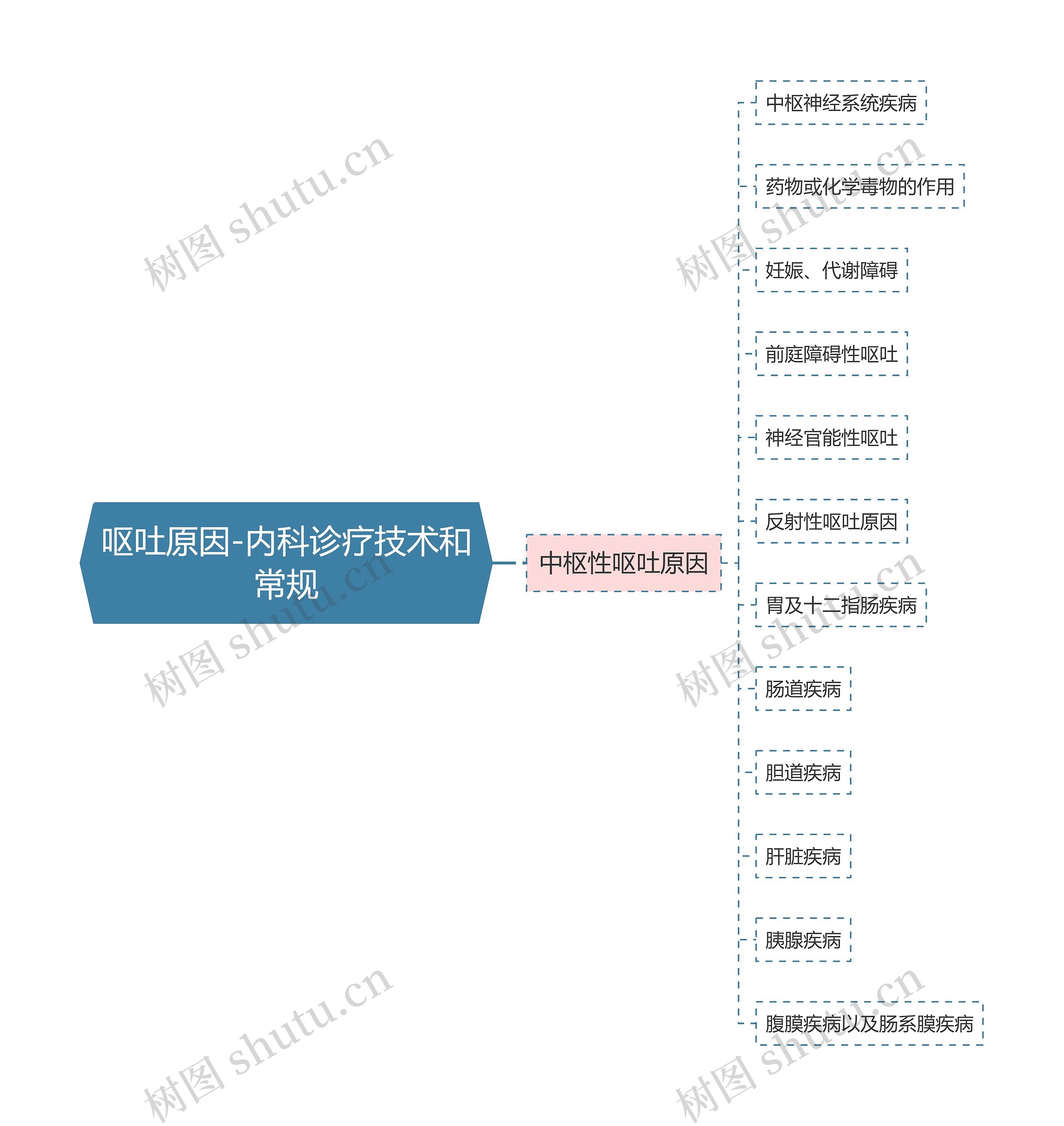 呕吐原因-内科诊疗技术和常规