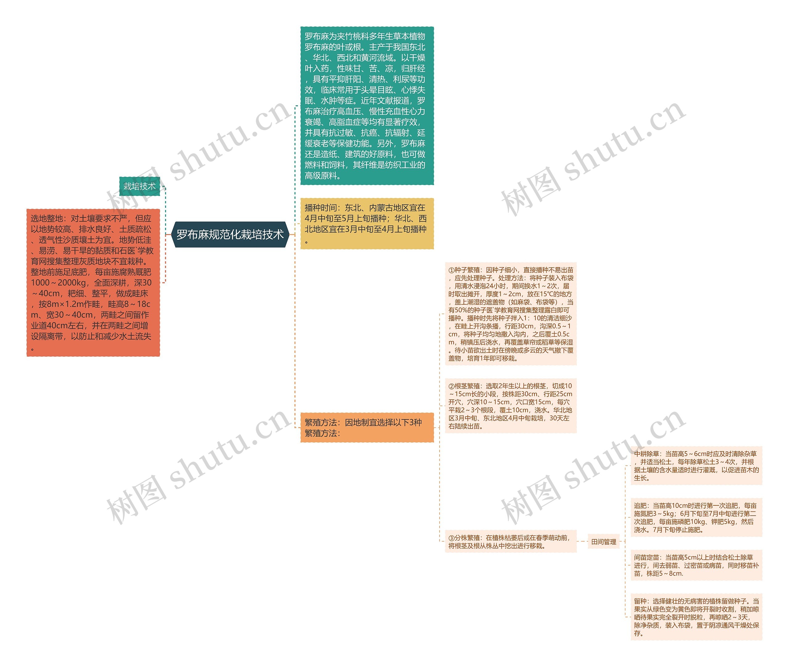 罗布麻规范化栽培技术思维导图