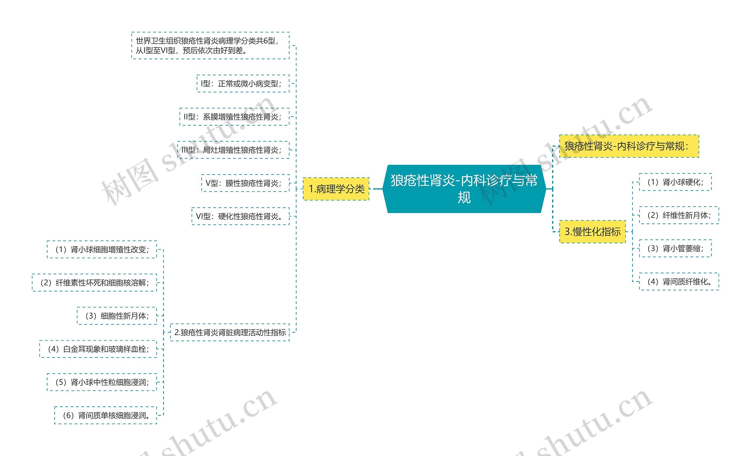 狼疮性肾炎-内科诊疗与常规思维导图