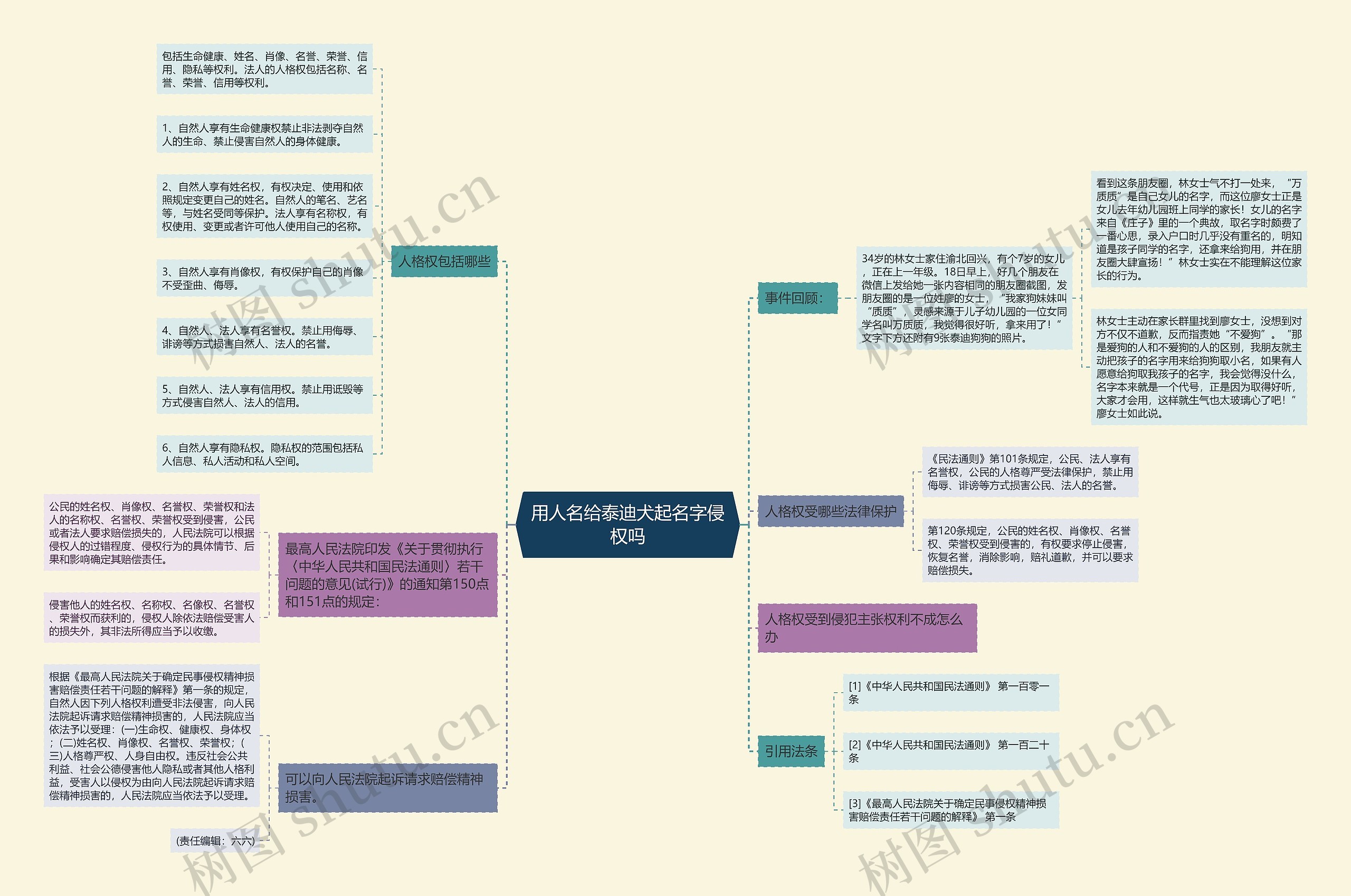 用人名给泰迪犬起名字侵权吗思维导图