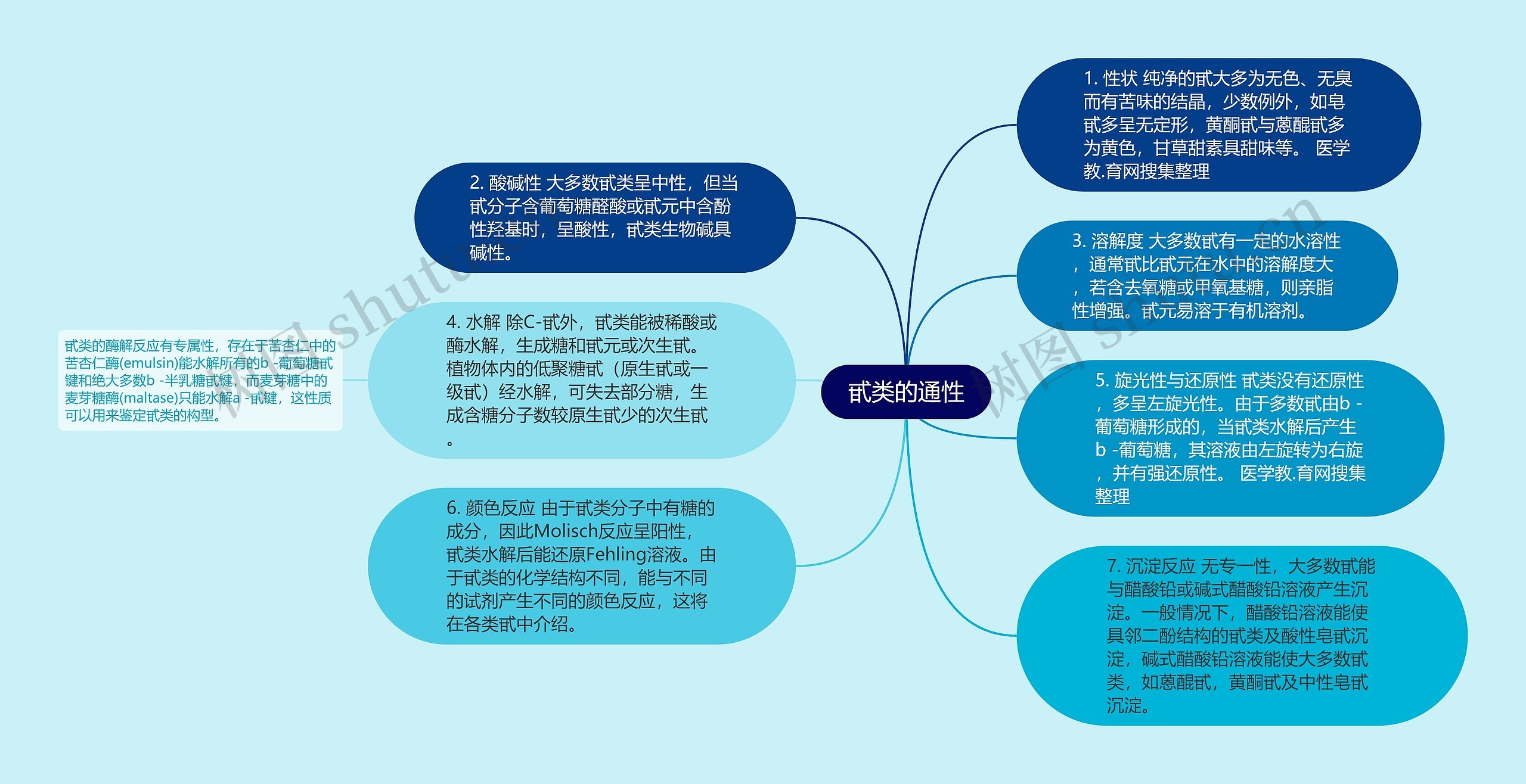 甙类的通性思维导图