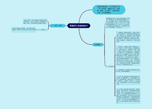 阳春砂仁的栽培技术