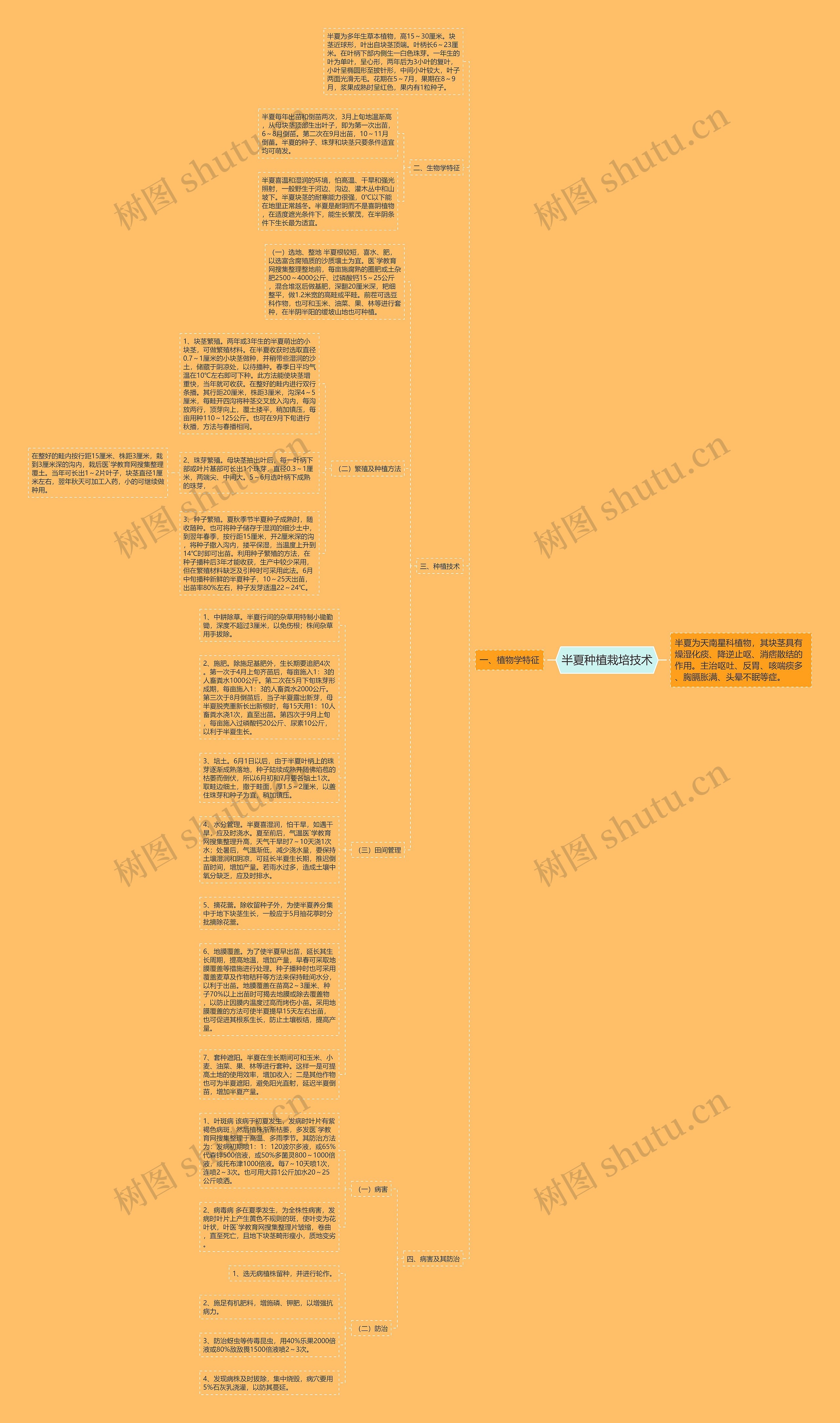 半夏种植栽培技术思维导图