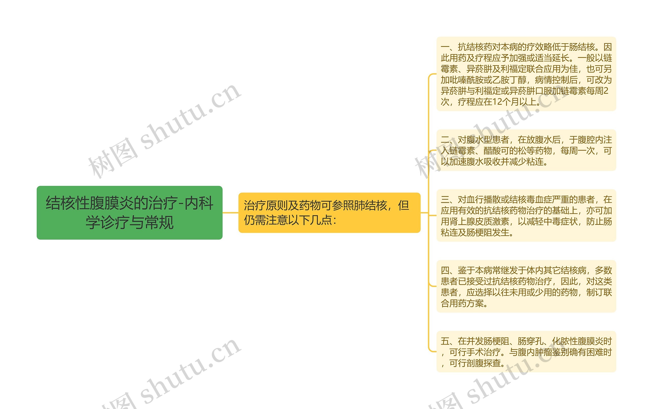 结核性腹膜炎的治疗-内科学诊疗与常规思维导图