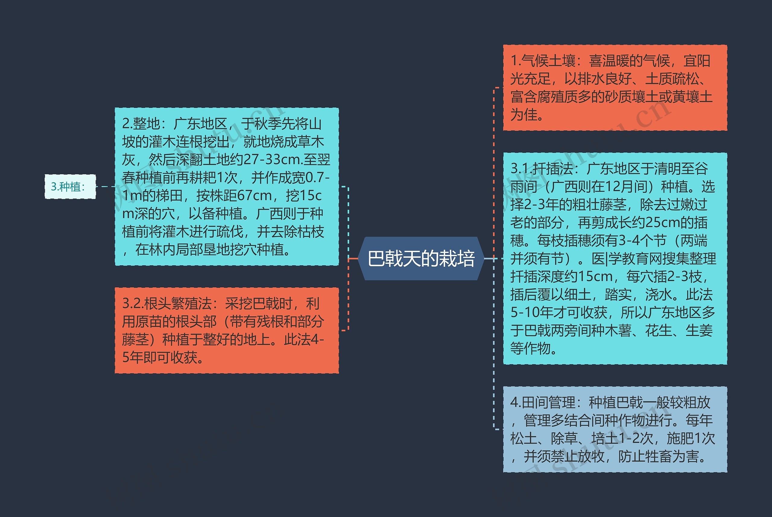 巴戟天的栽培思维导图