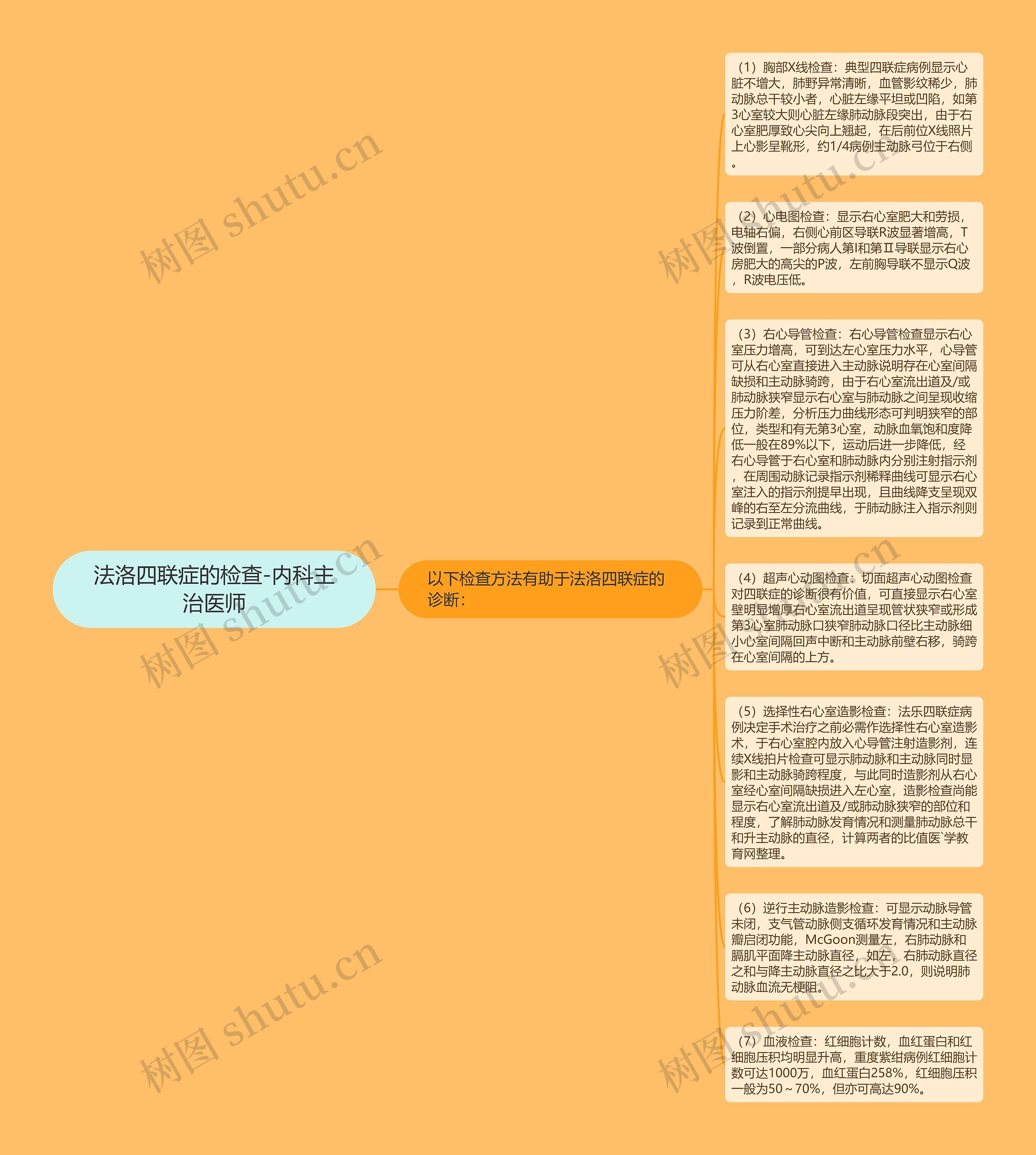 法洛四联症的检查-内科主治医师