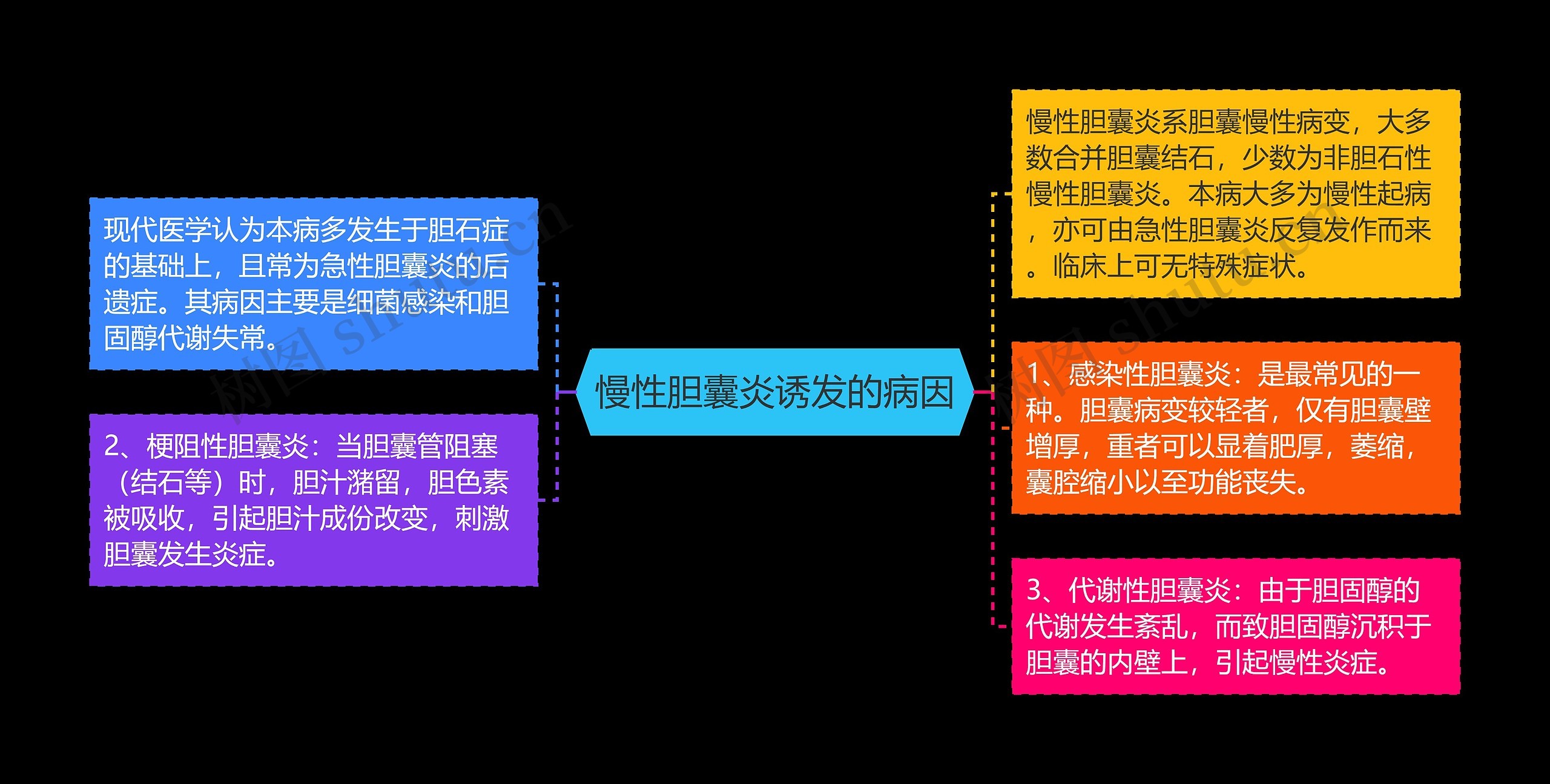 慢性胆囊炎诱发的病因